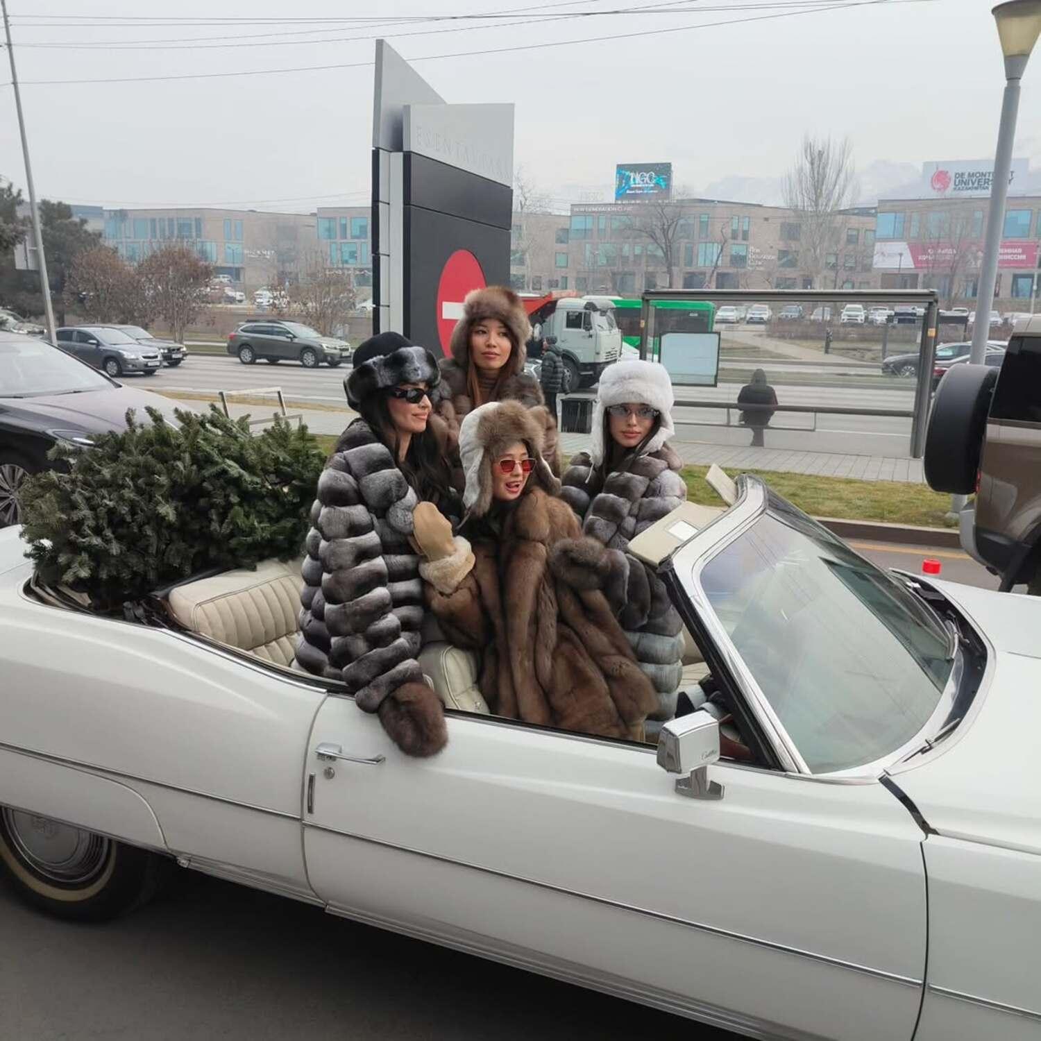 Almaty: Private Retro Cruise in a 1973 Cadillac