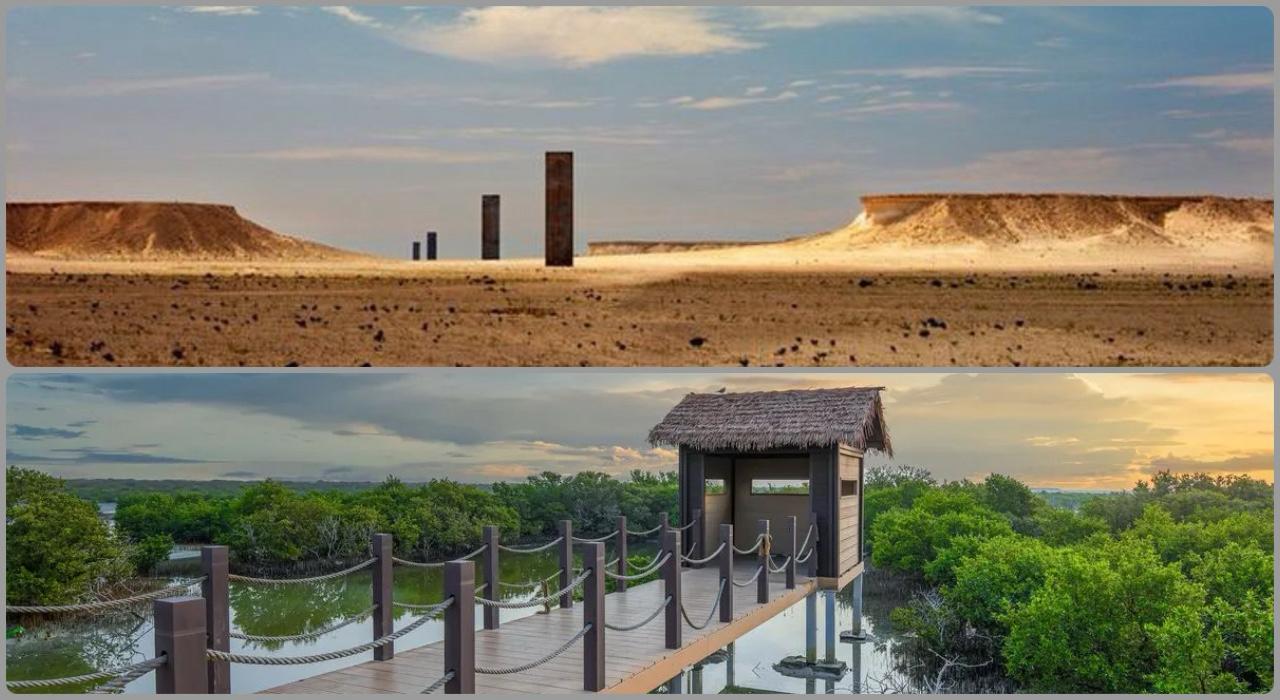 From Doha: Culture & History Qatar Tour to the North & West 2