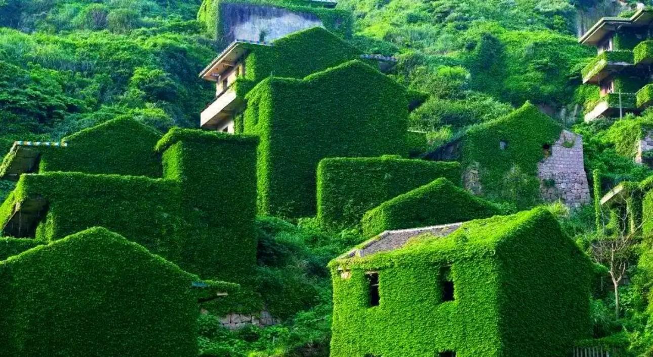 Shanghai: Shengsi 3-Day Private Tour & Floating Sea Farm