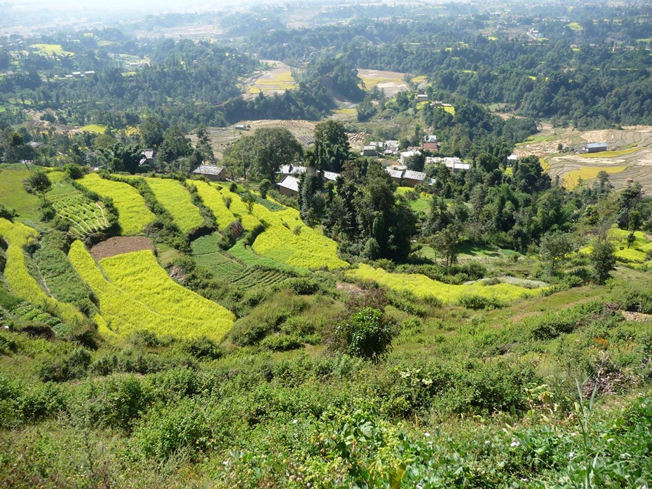 Nagarkot: Sunrise, Changunarayan Hike & Bhaktapur Day Tour 2