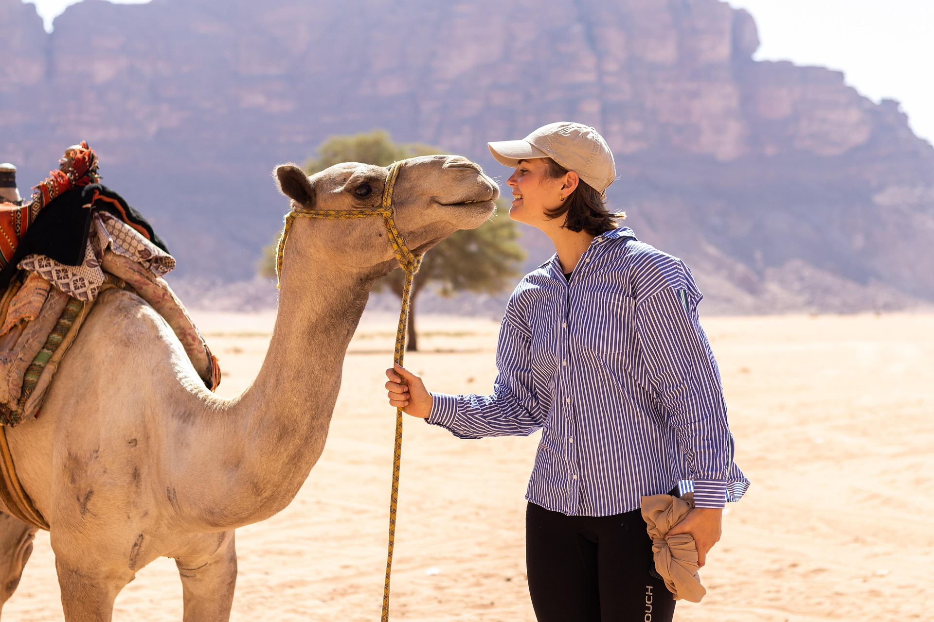 From Amman: Petra, Wadi Rum and Dead Sea 3-Day Trip