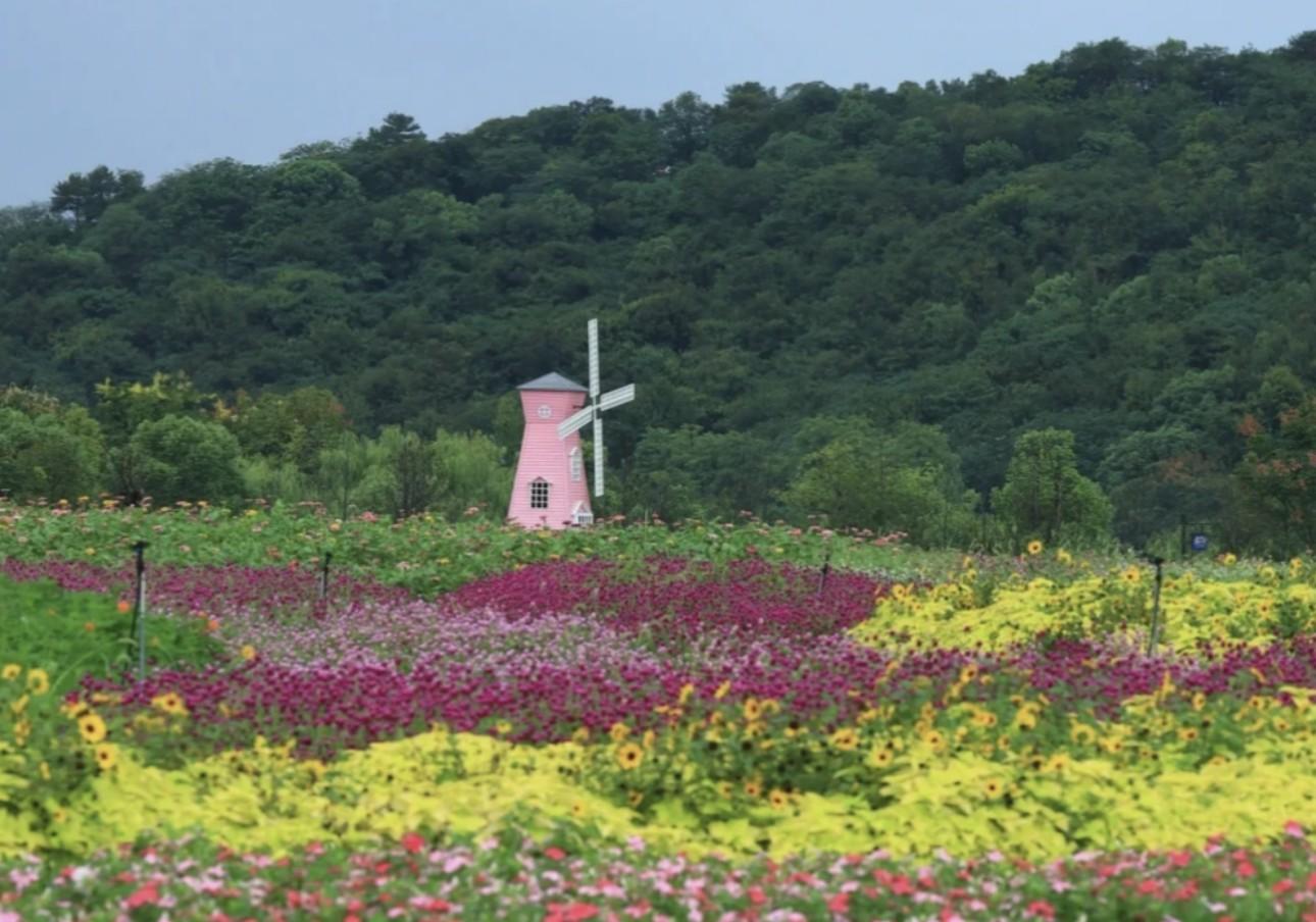 Shanghai: Tongjian Lake Kayaking, Lingshan Cave & Flowers 3