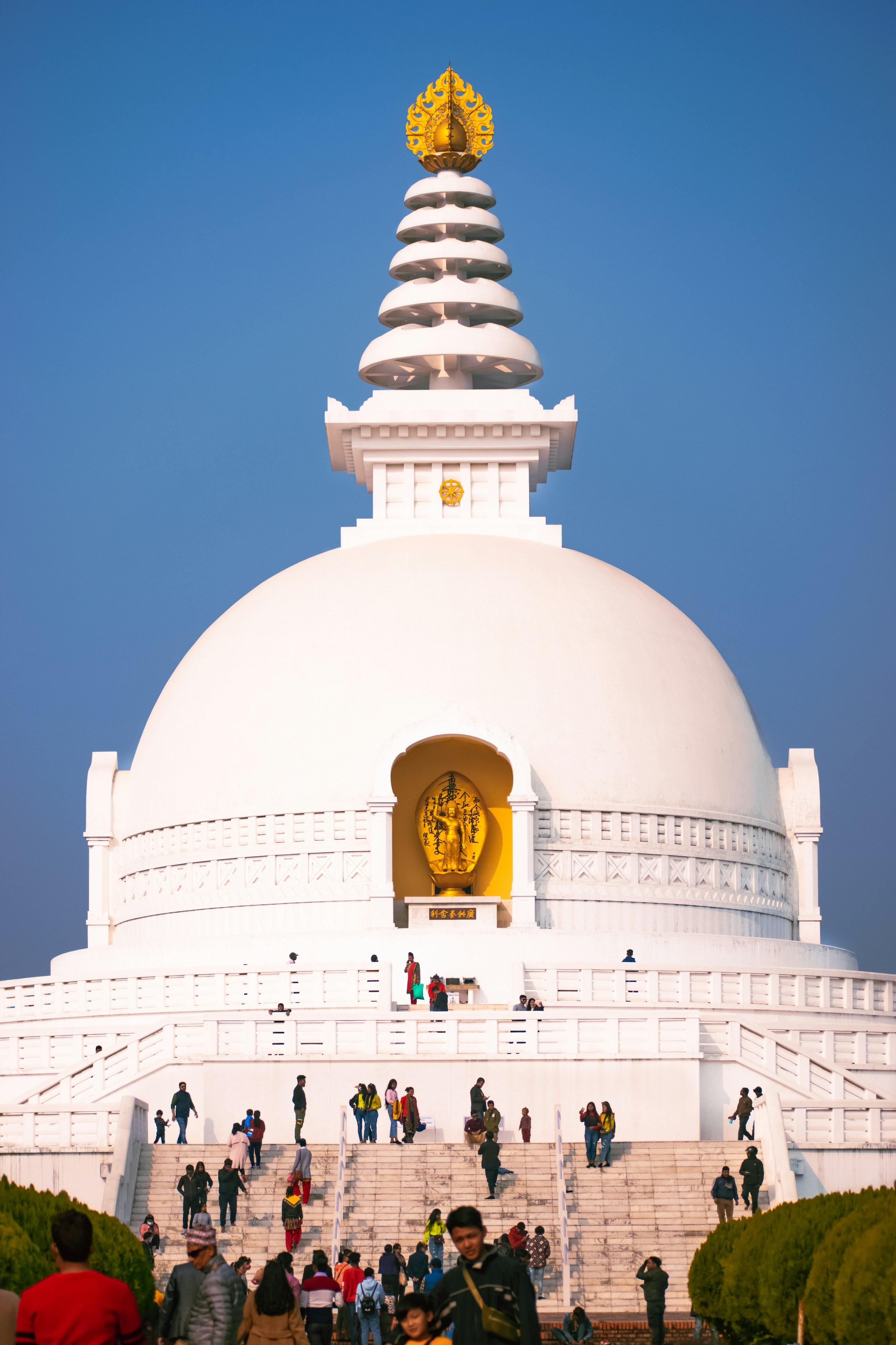 From Pokhara: 5-Day Chitwan Safari & Lumbini Pilgrimage Tour 2
