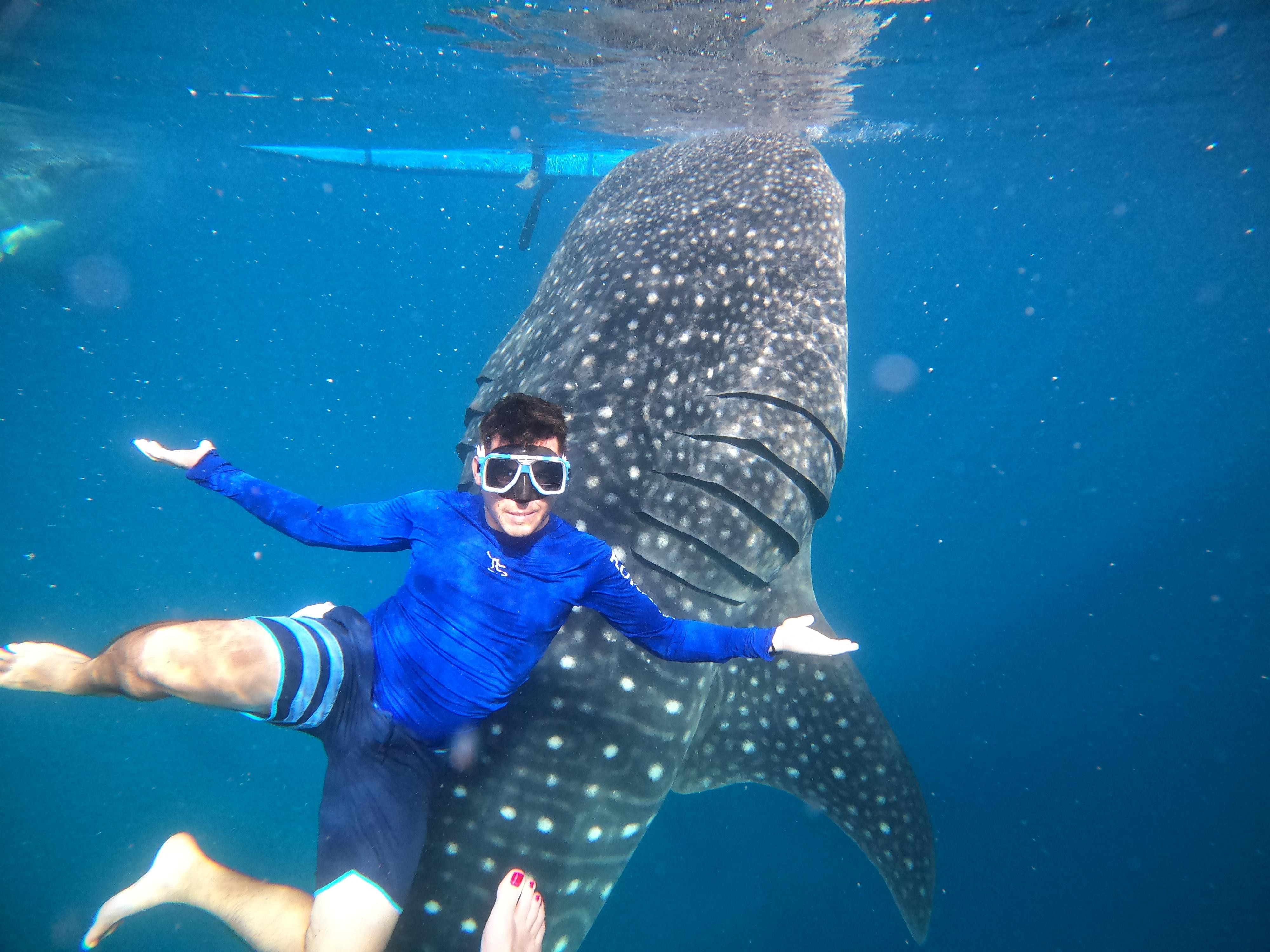 Cebu: Whale Shark, Tumalog, Sumilon, and Moalboal Tour