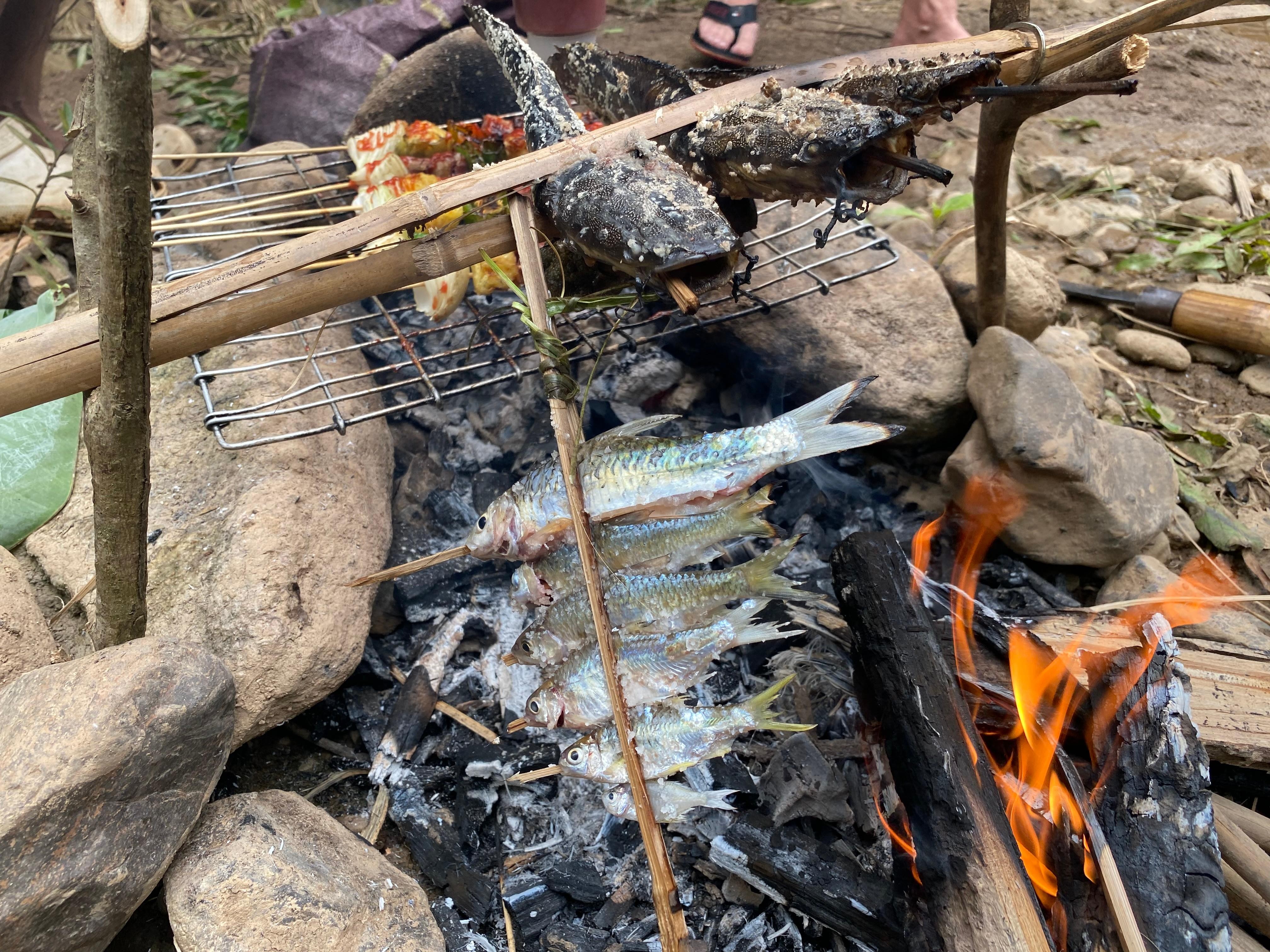 Luang Prabang: Rice Farm, Fishing & Picnic Experience 2