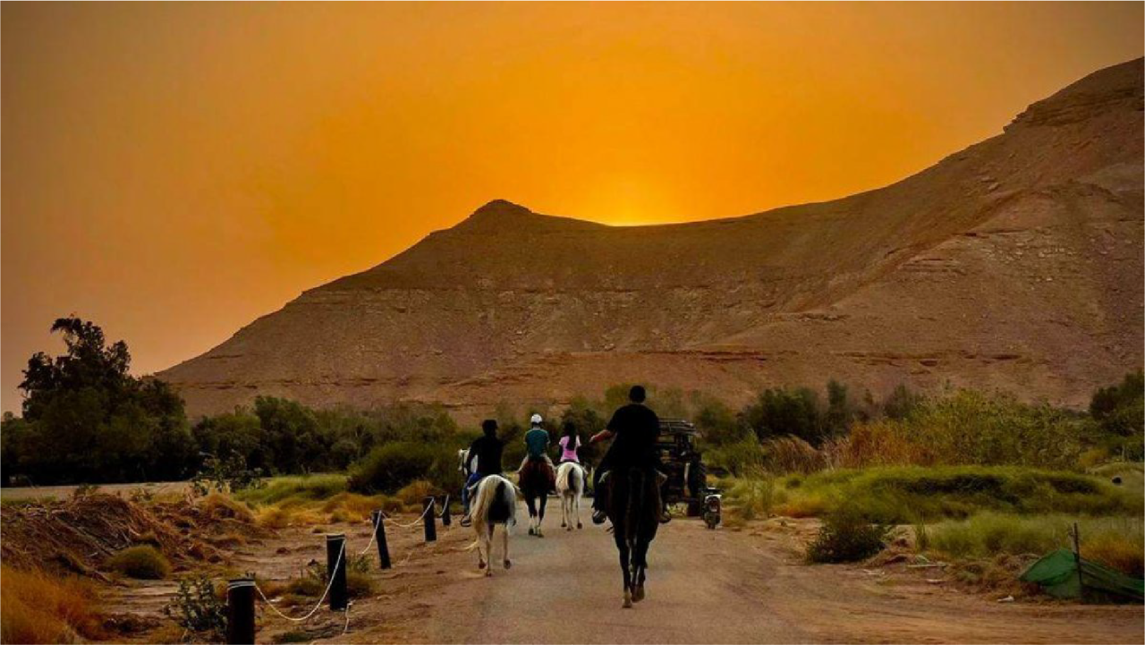 Riyadh: Farm Adventure with ATV Ride, Horse Riding, & Lunch 2