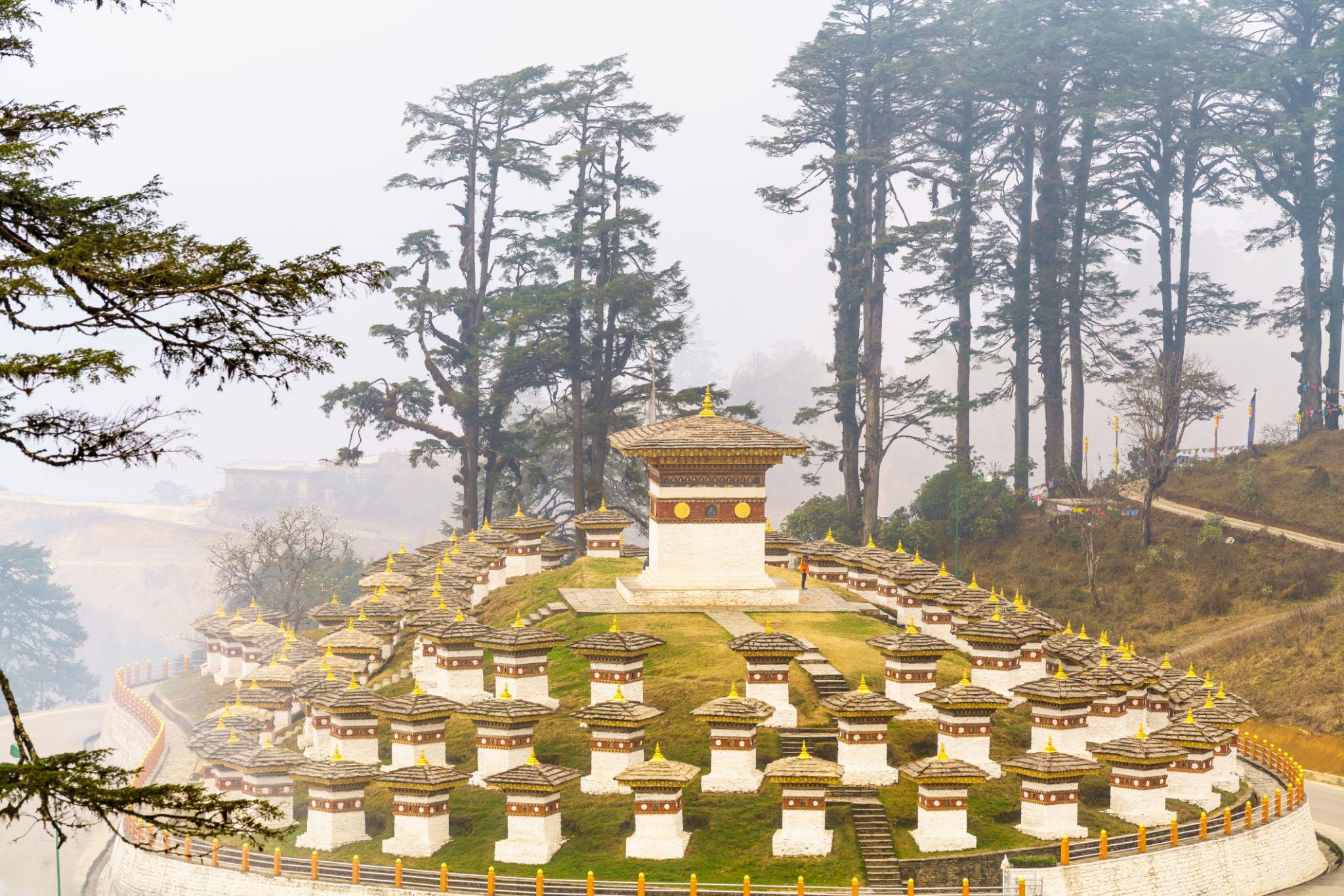 5 Day Bhutan Bird & Nature Photography Escape with Stay/Meal