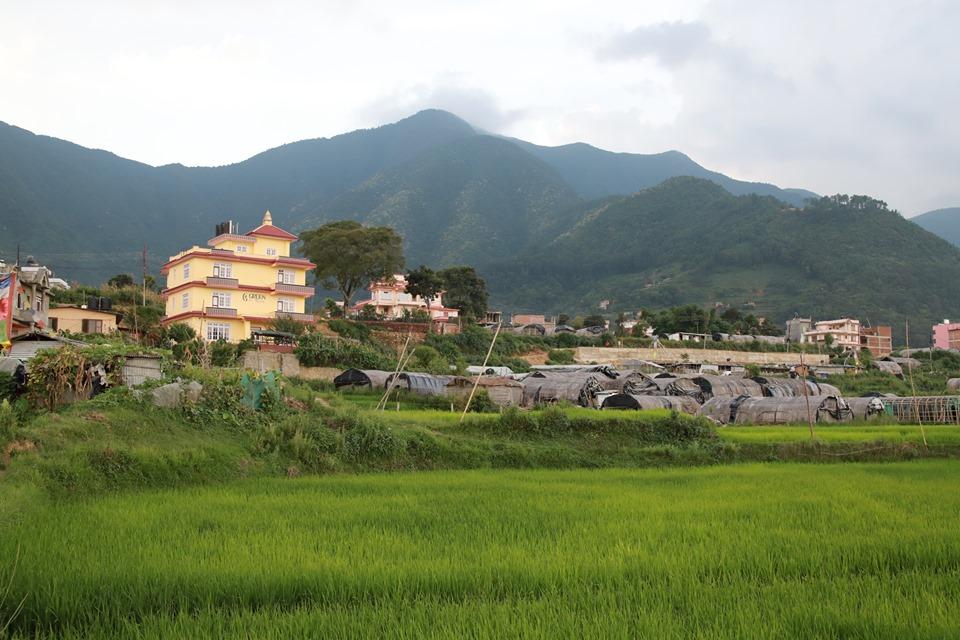 Kathmandu: 3-Day Yoga Retreat, Homestay & Cultural Tour 3