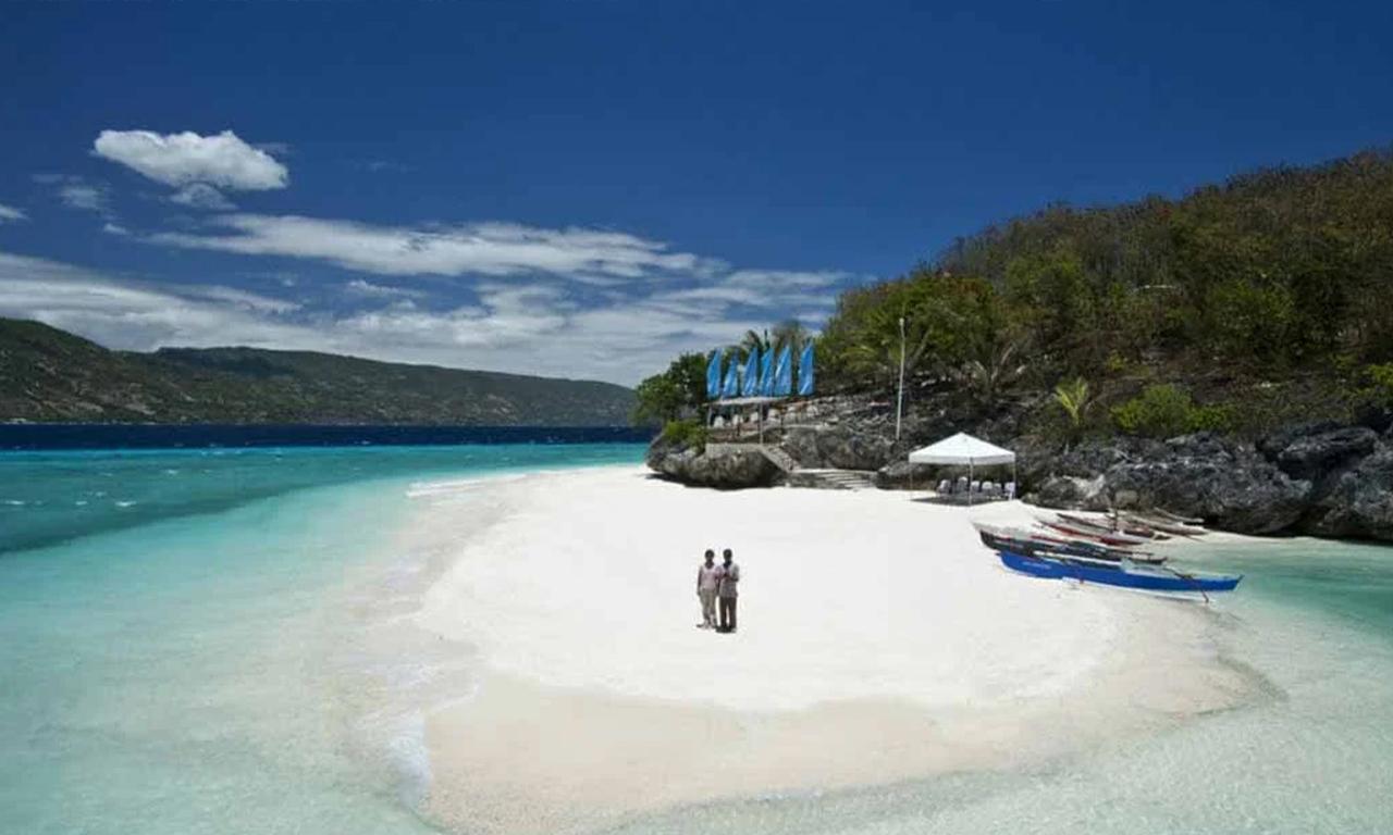 Cebu: Oslob Whale Shark, Tumalog Falls, and Sumilon Sandbar 3