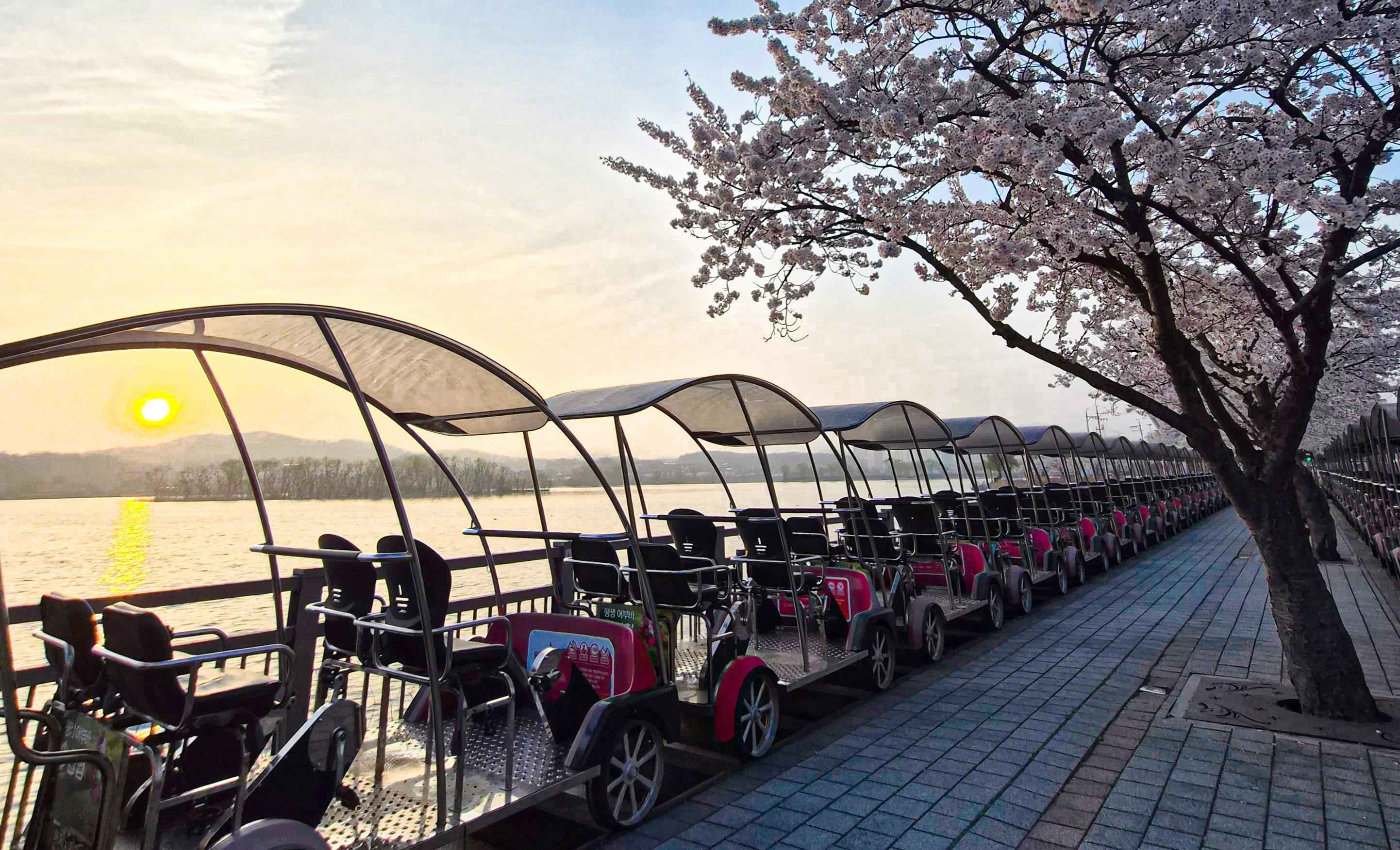 From Seoul: Suwon Uiwang Rail Park and Zipline Day Trip