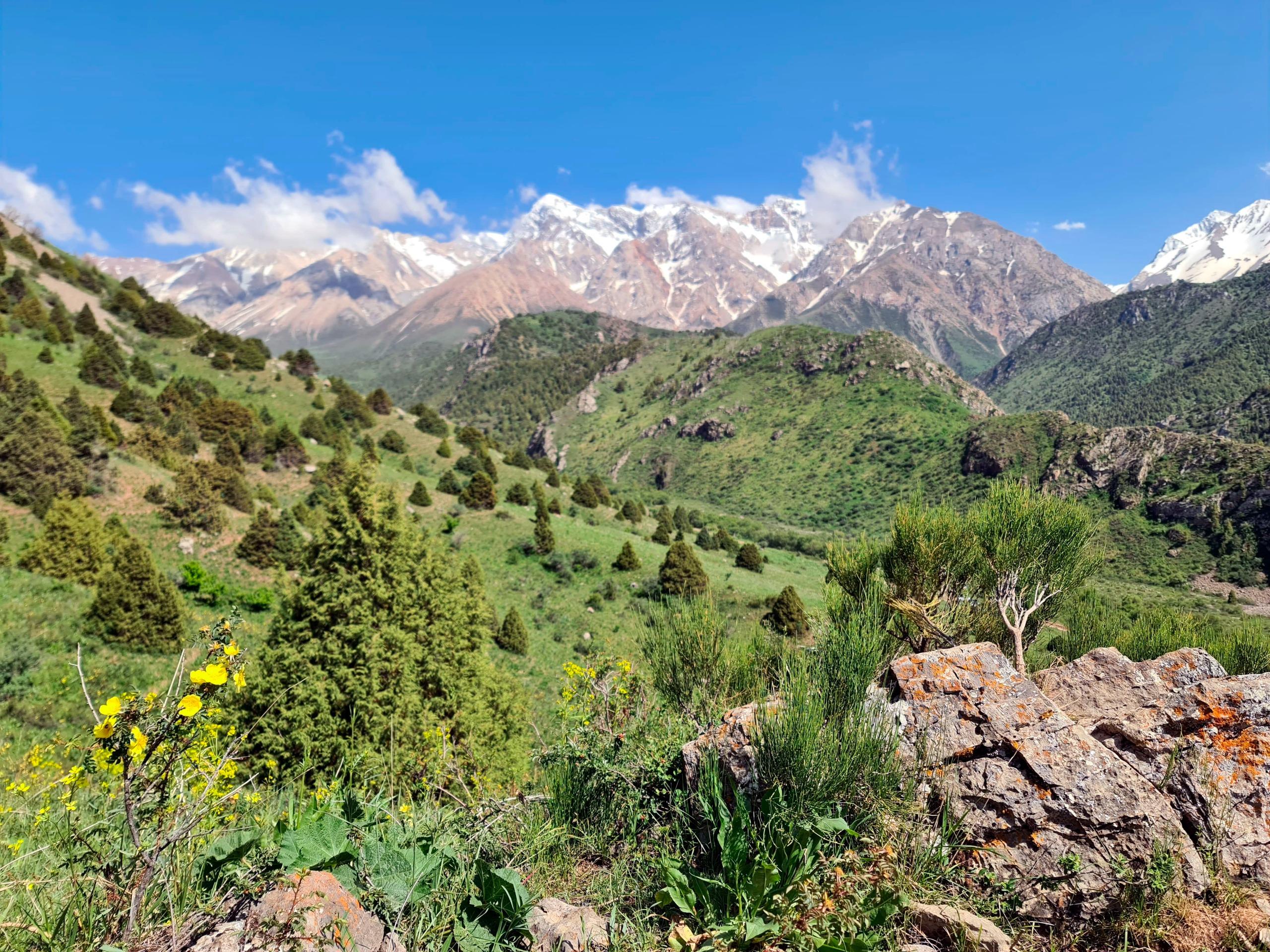 From Shymkent: Day Trip to Aksu Canyon & Tian Shan Mountains 2