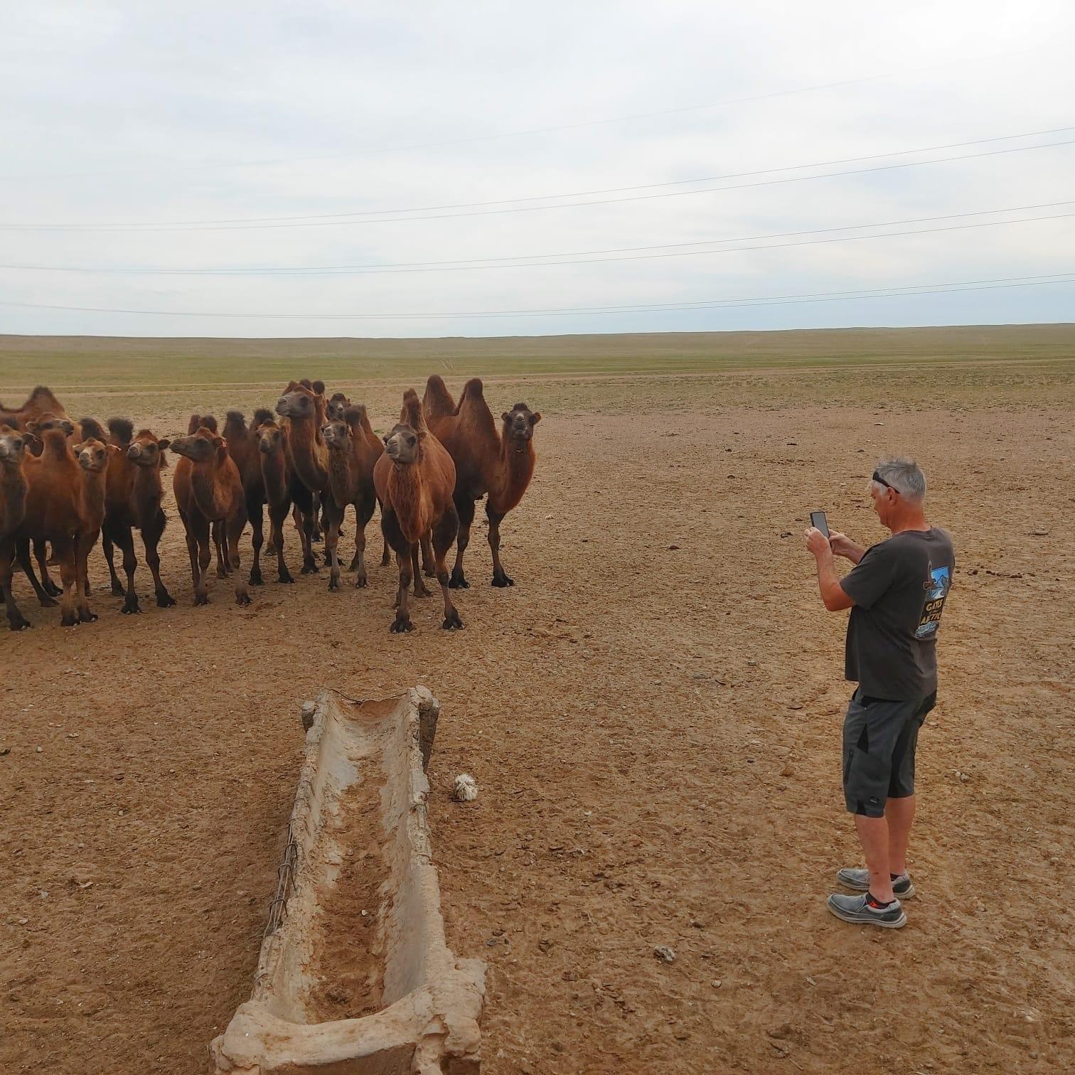 Ulaanbaatar: Khustai NP, Semi Gobi & Kharkhorin Tour 2