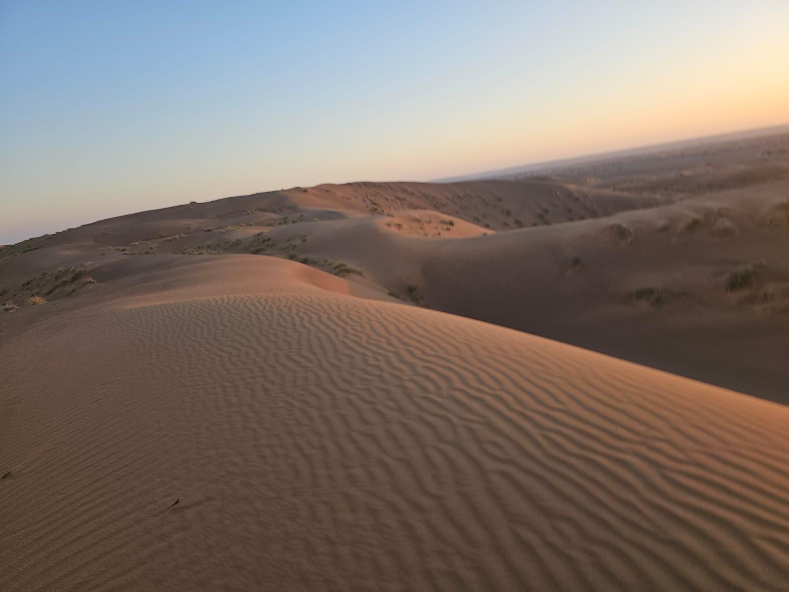 Muscat: Wadi Bani Khalid & Wahiba Sands Full-Day Tour