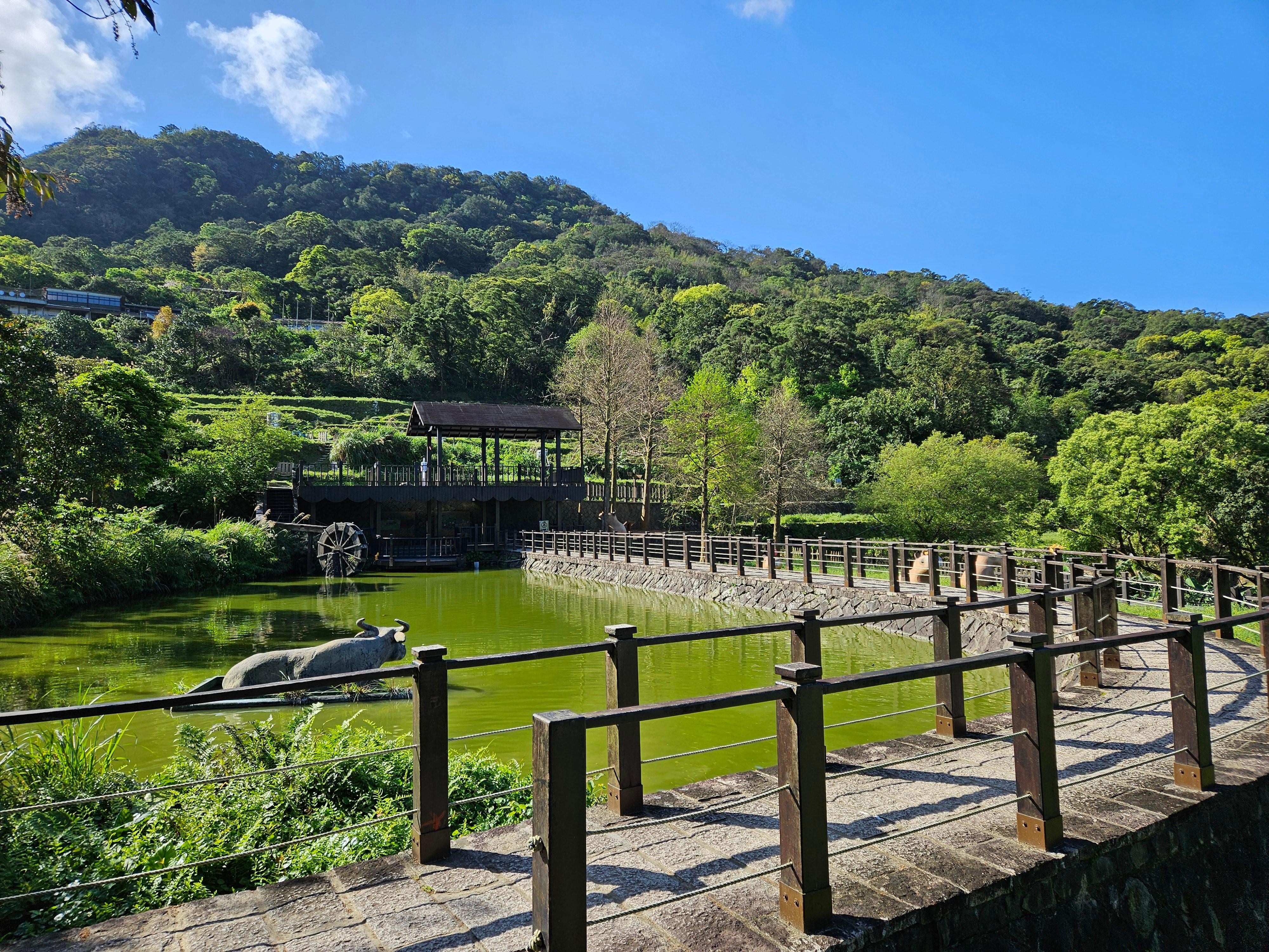From Taipei: Pinglin Tea Culture and Maokong Gondola Tour 3