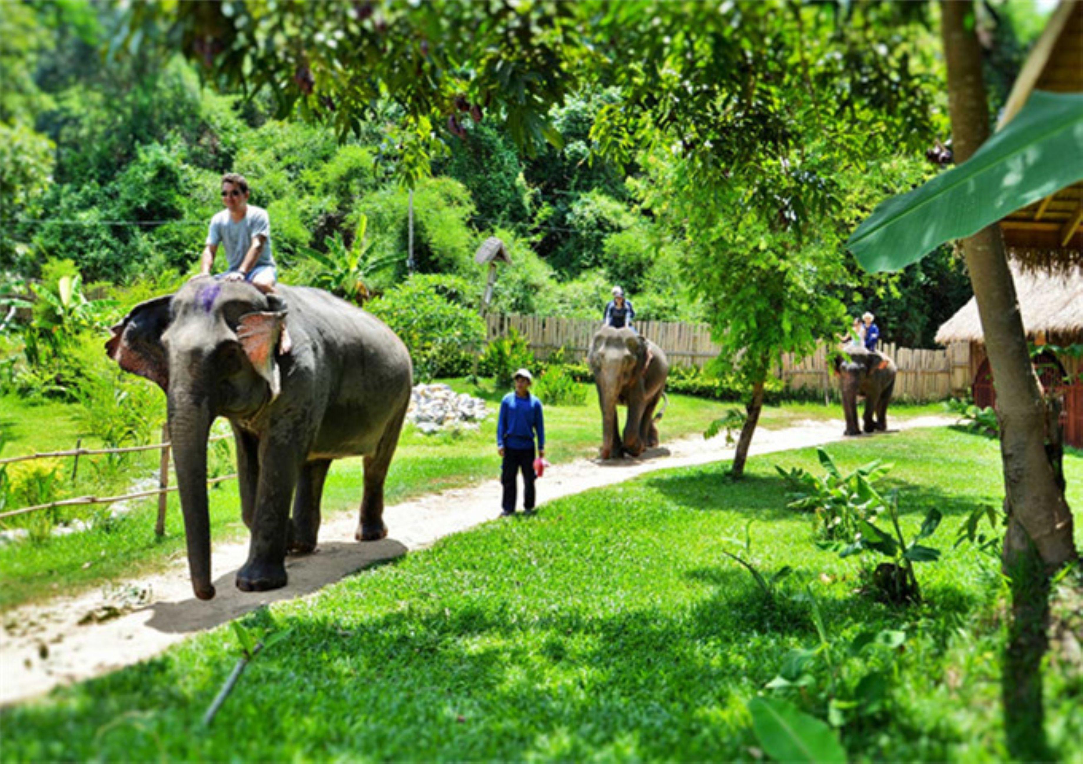 Luang Prabang: 4-Day, 3-Night Guided Tour