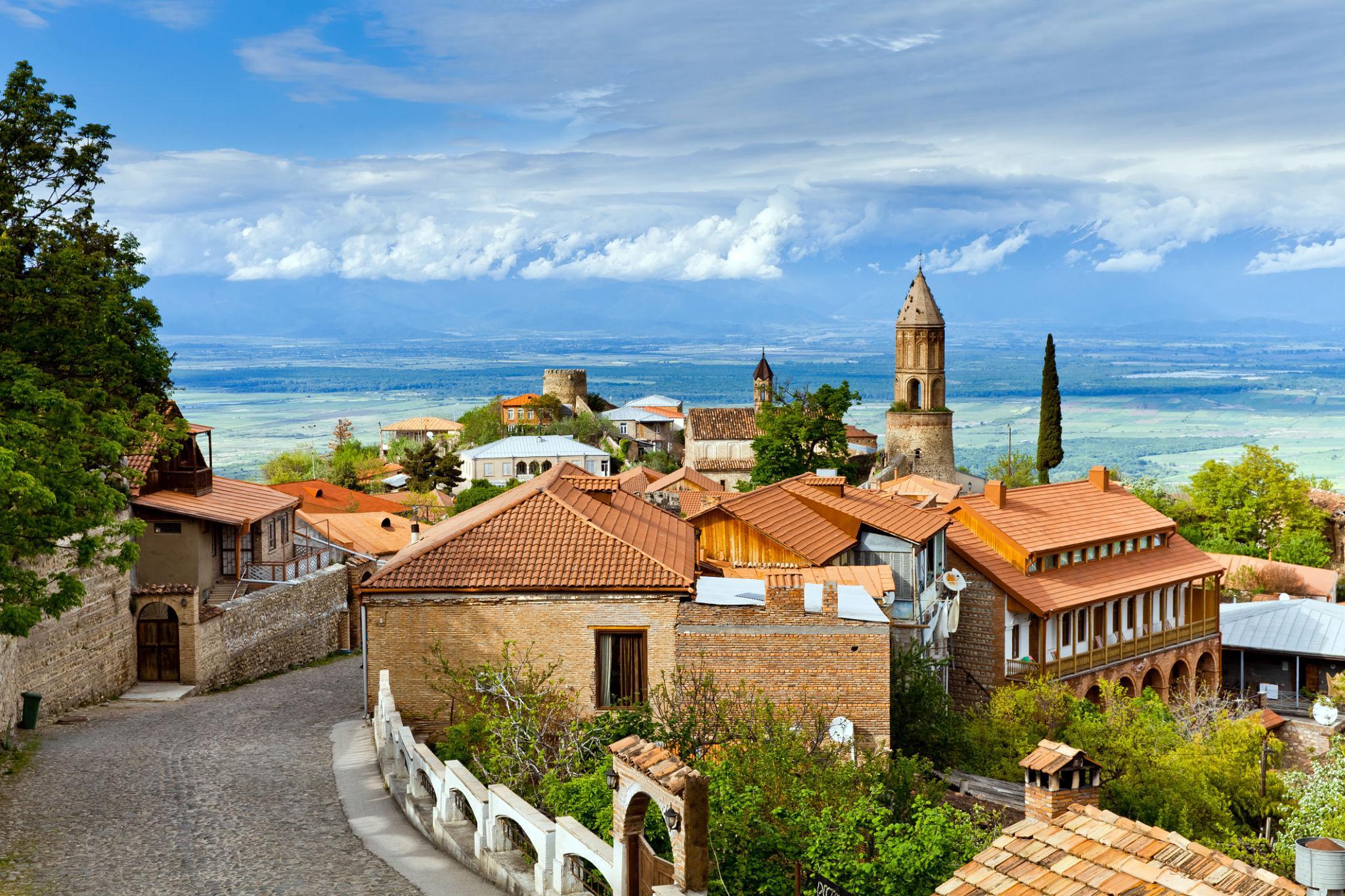 From Tbilisi: Kakheti Wine Region Tour with Wine Tasting