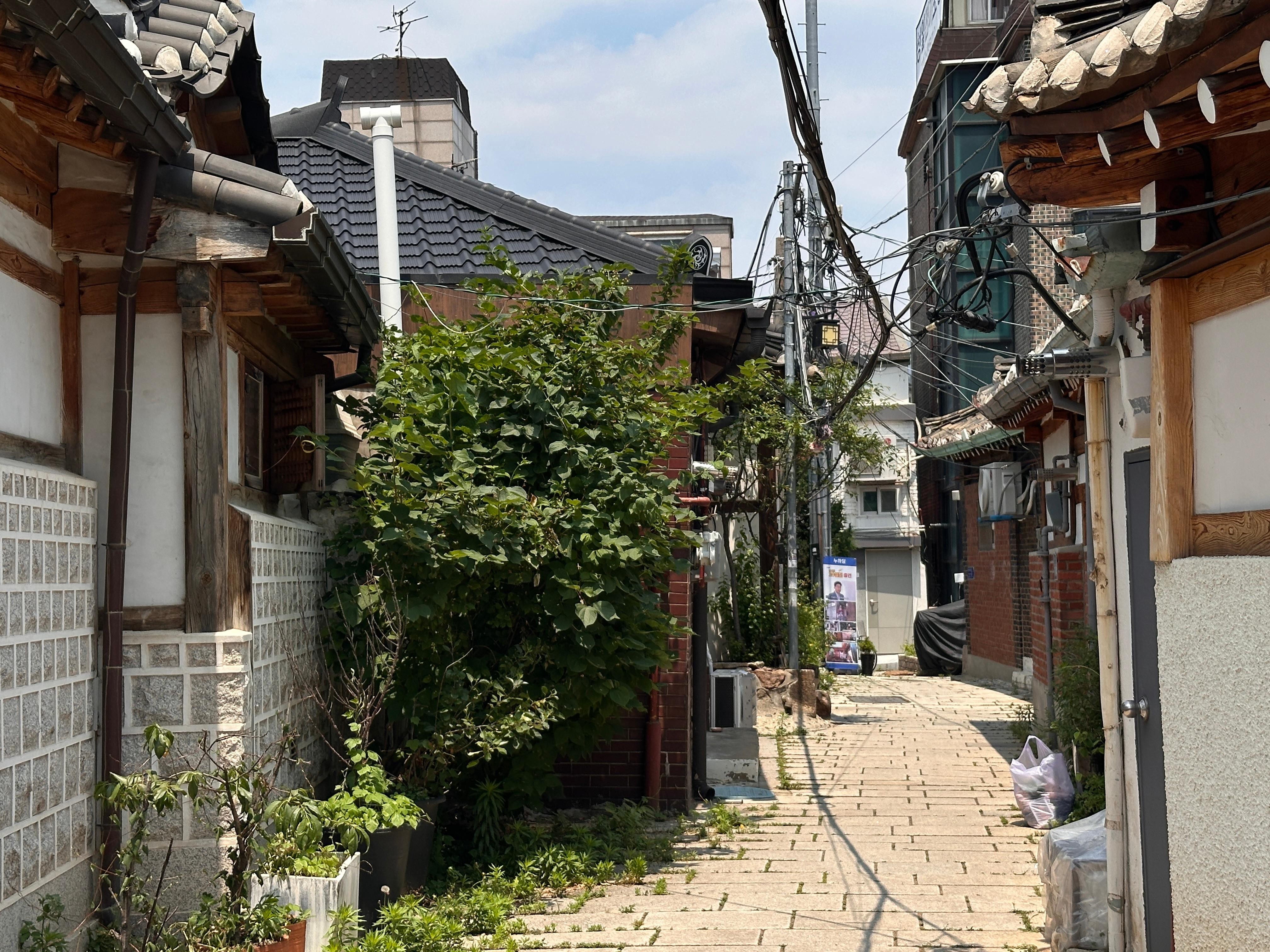Seoul Seochon Walking Tour: Hidden Alleys & Market Culture