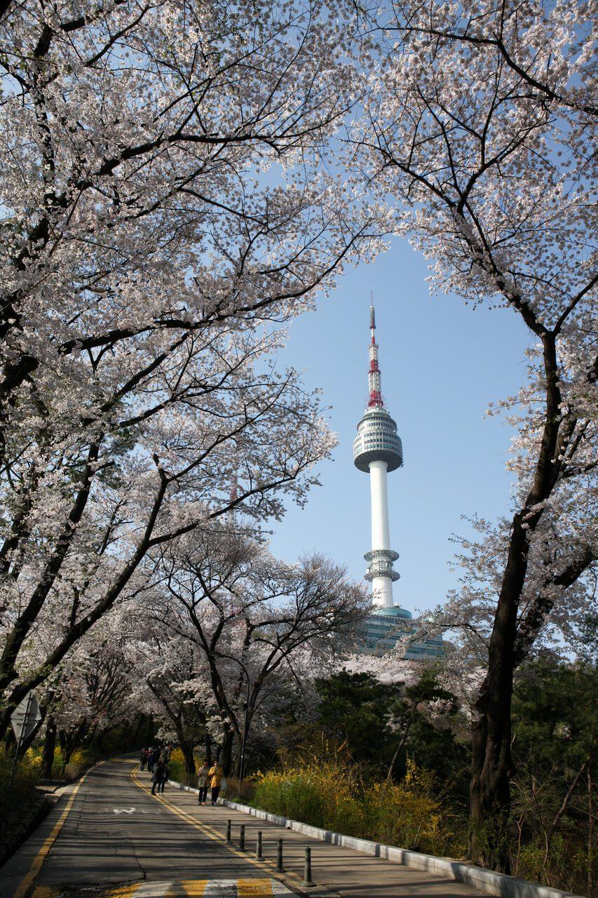 Seoul: Gyeongbokgung, Namsan & Insadong【Chinese Driver】