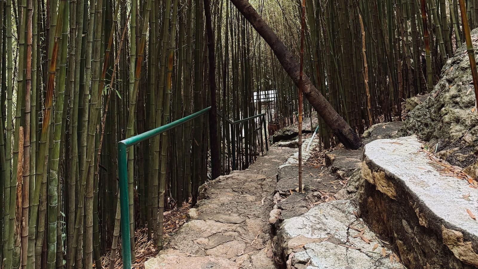 Shanghai: Shangqing Ancient Trail Private Day Trip