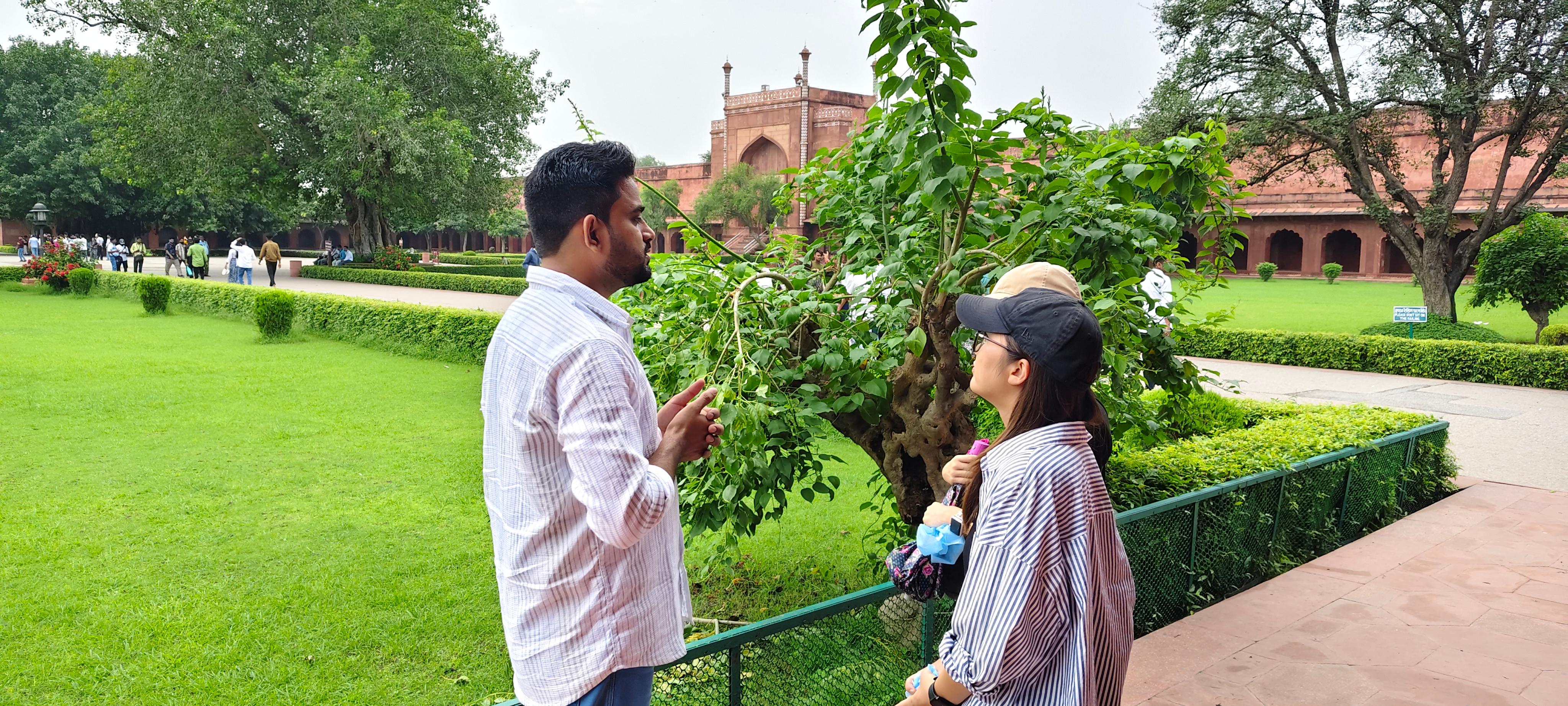 From Delhi: Taj Mahal & Agra Tour by Gatimaan Express Train 2