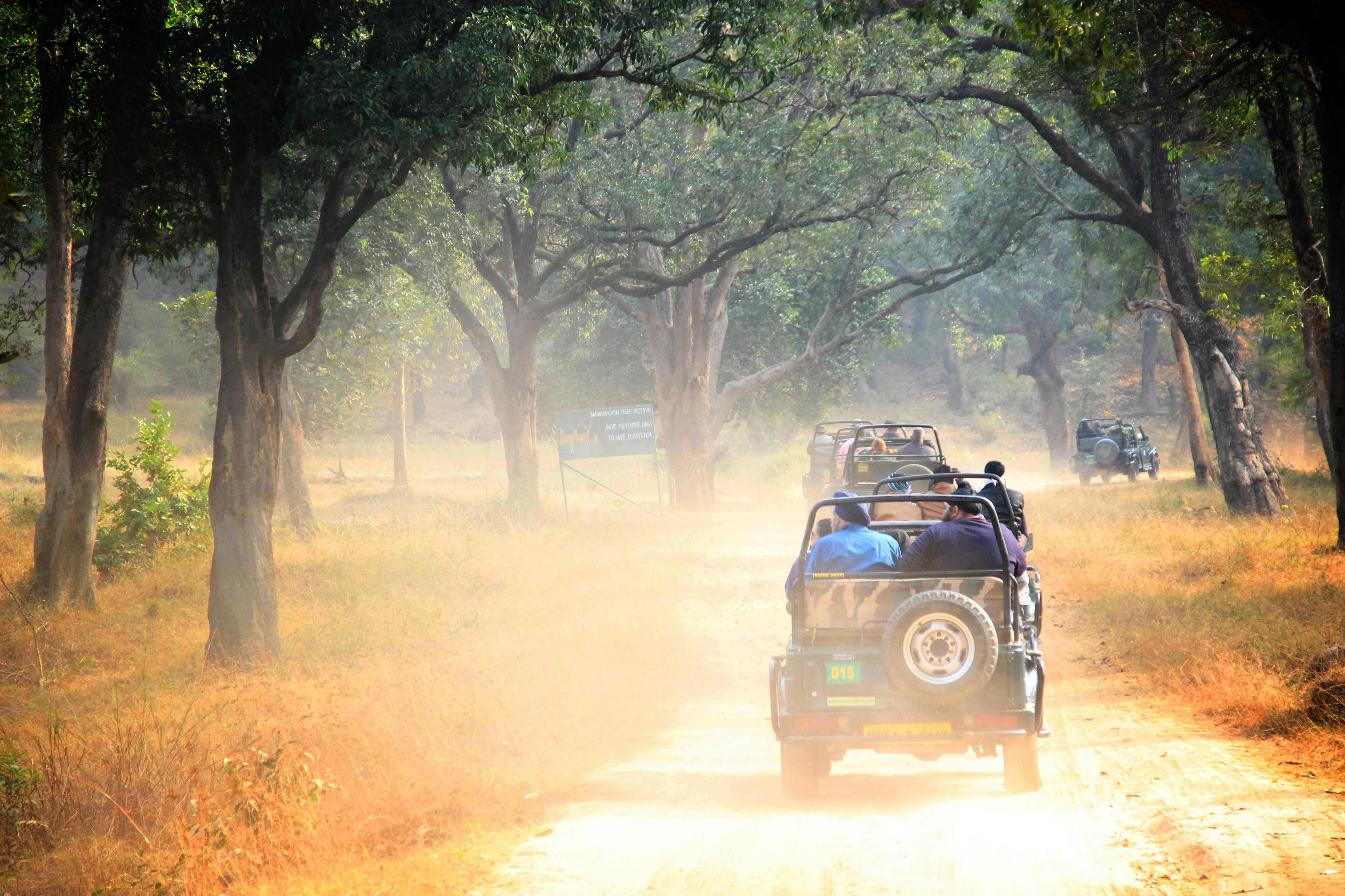 Jaipur to Agra: Ranthambore Safari with One-Way Transfer 2