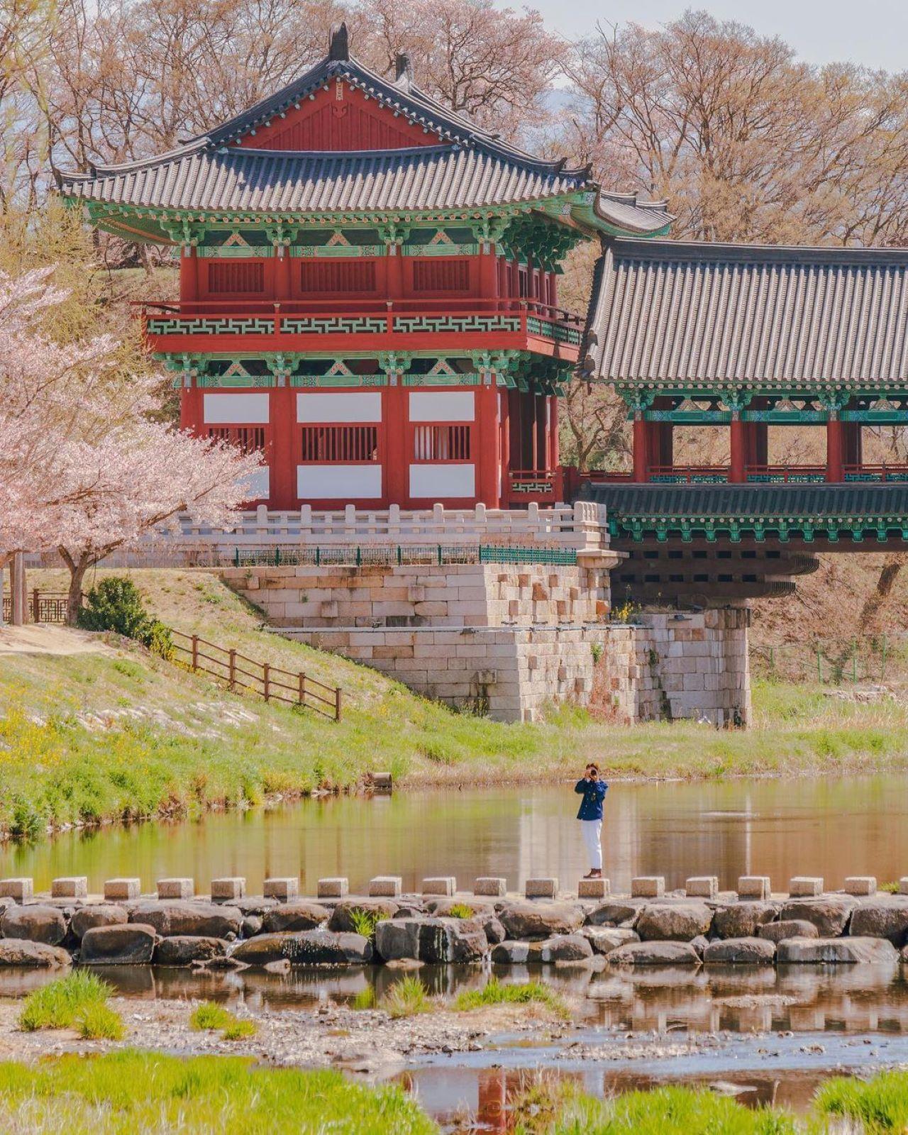 From Busan: Busan & Gyeongju One Day Tour 3