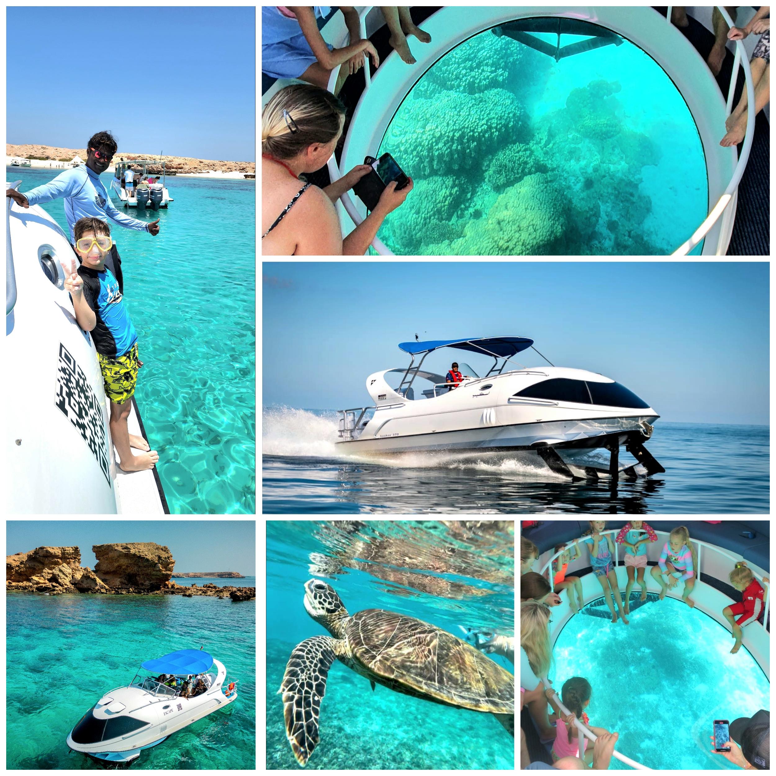 Muscat: Glass-Bottom Snorkeling Trip to Daymaniat w/ Snacks