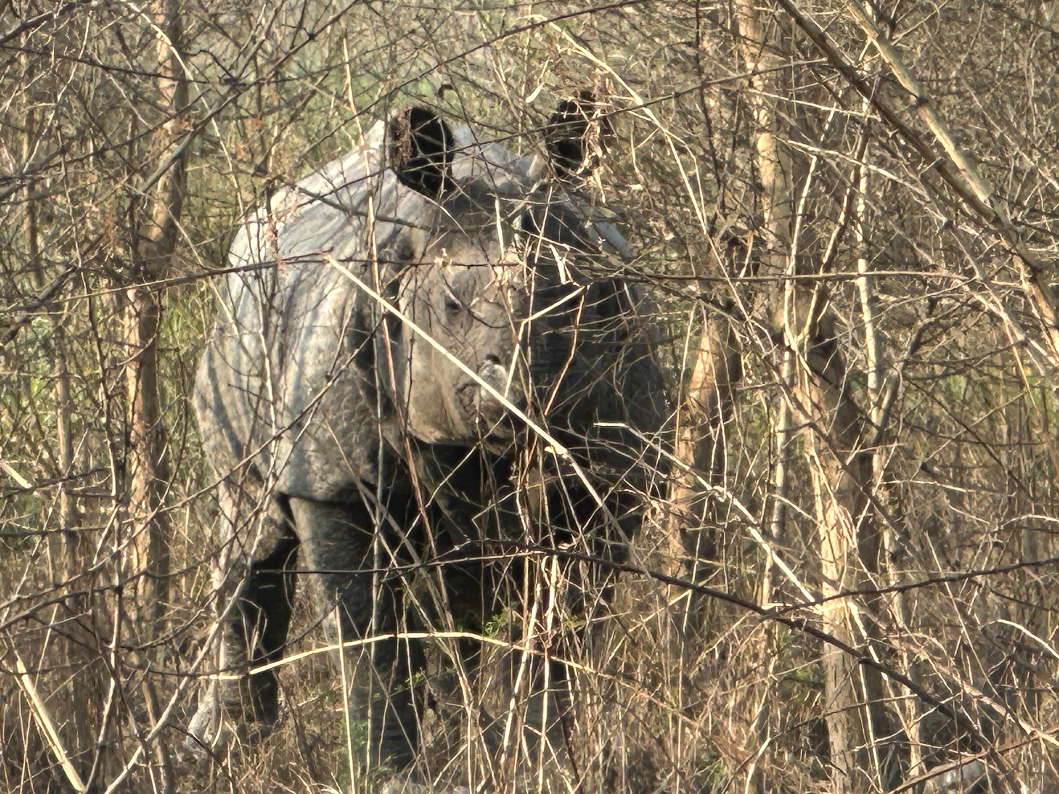 Chitwan Jungle Safari 3 Days- From Kathmandu or Pokhara