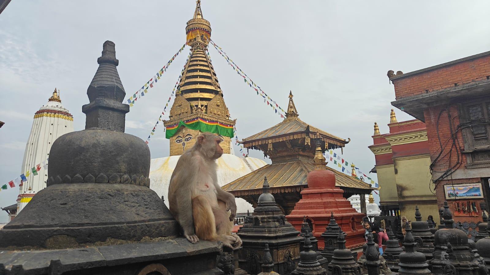 Kathmandu: Buddhist Stupas Tour with Kapon Monastery Visit 2