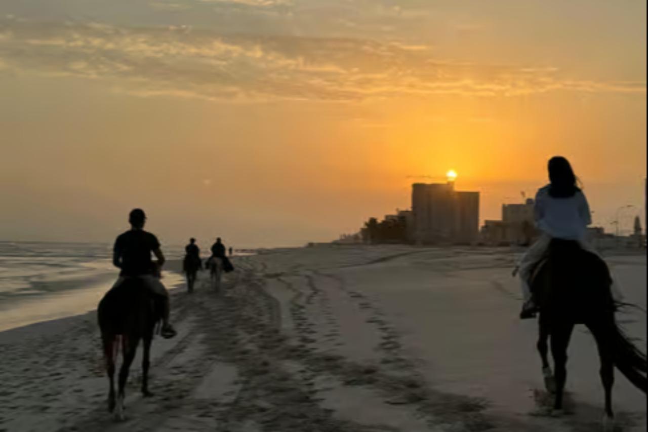 Salalah: Quad, Camel Riding , Horse Riding With Hotel Pickup 3