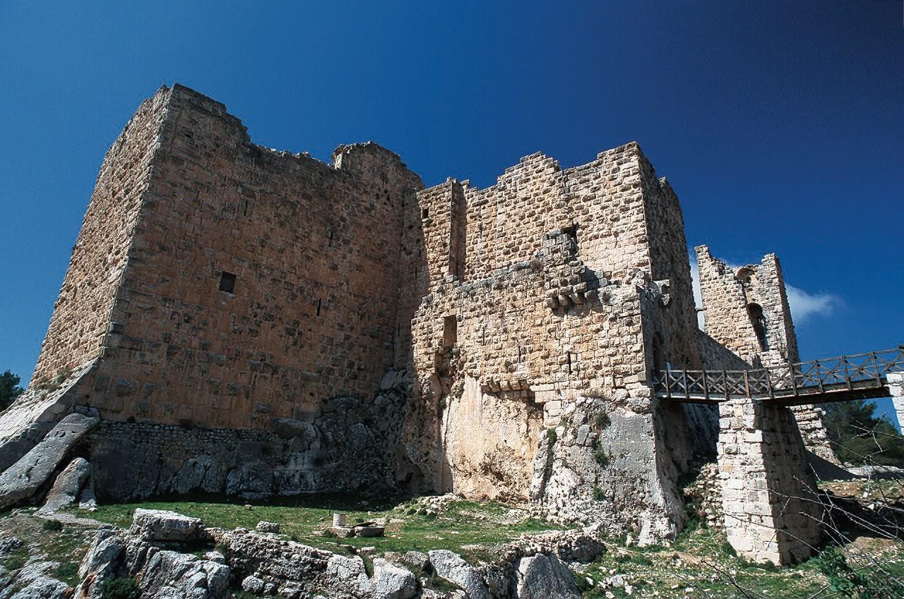 From Amman: Private Decapolis Route Tour with Driver 3