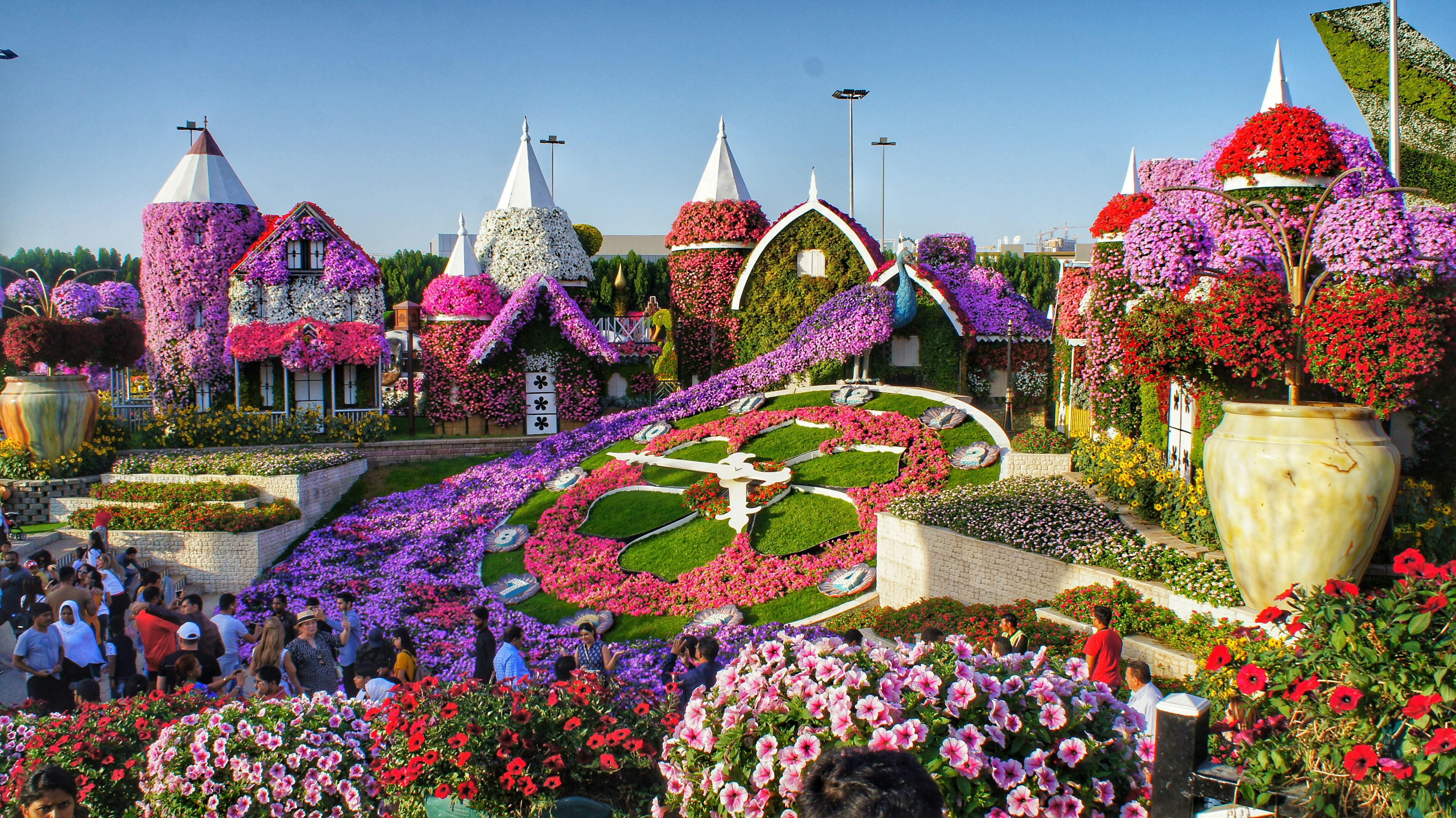 Dubai: Private Dubai Flora and Fauna Trip