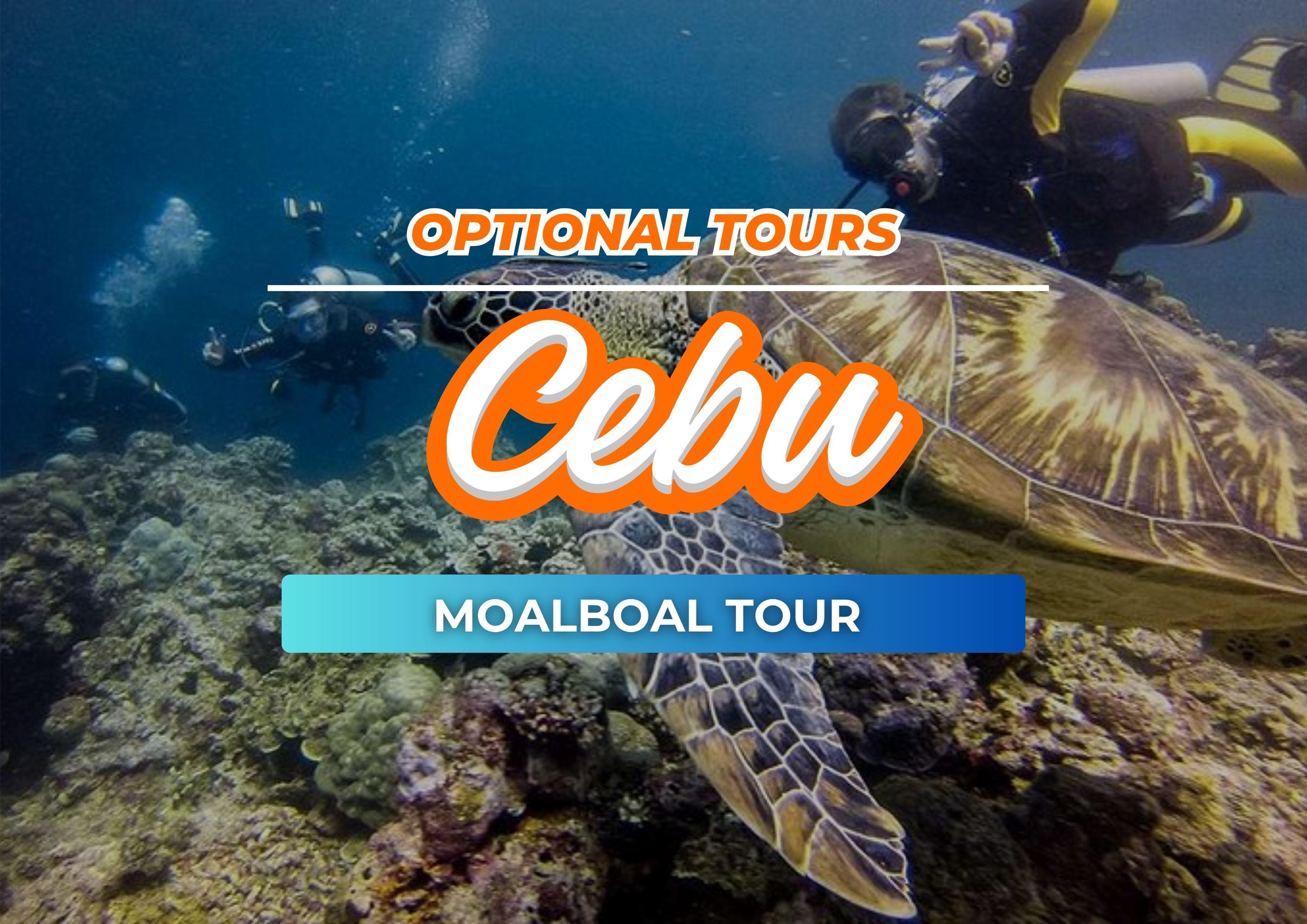 Cebu: Sardines, Sea Turtles & Kawasan Falls Private Tour