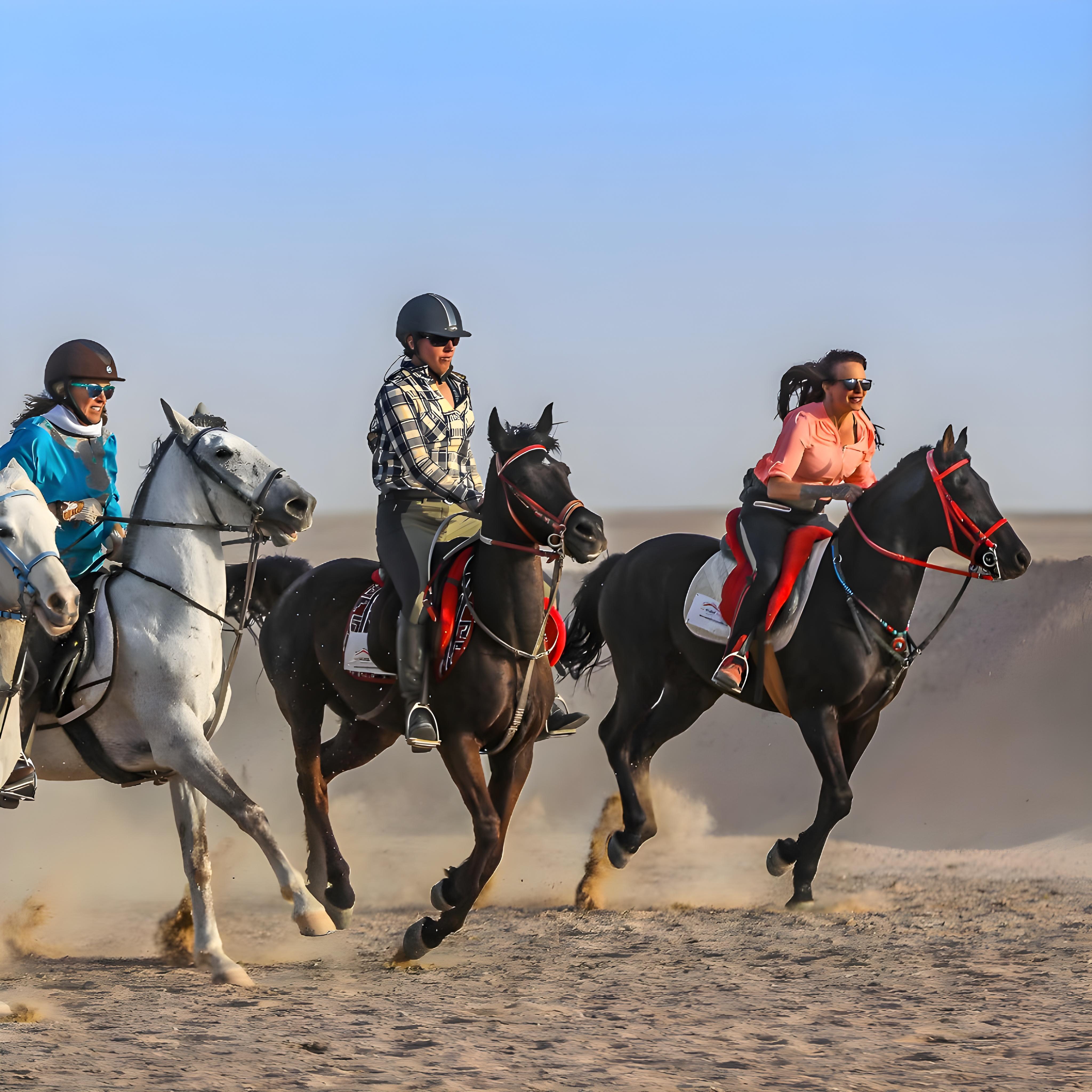 Doha: Horse Riding Experience in the Desert of Qatar 3