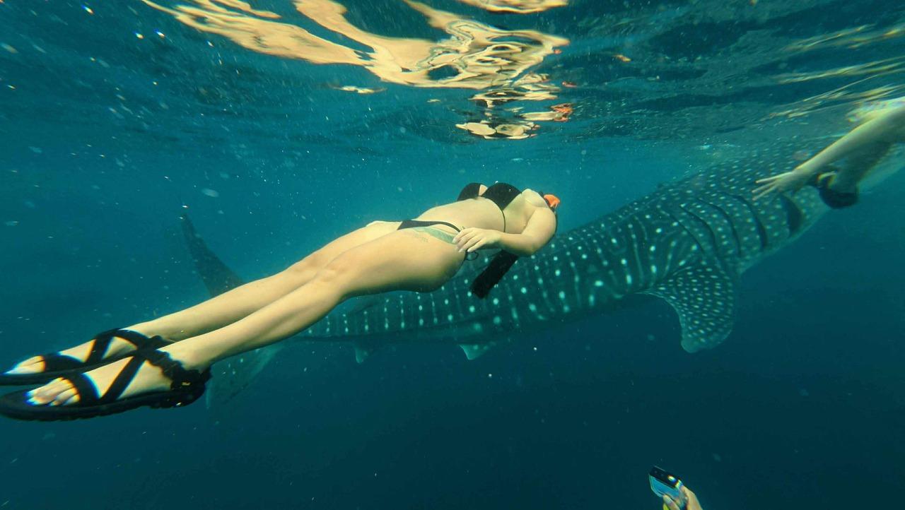 Cebu: 4-Day, 3-Night Heritage, Marine Life & Safari Tour