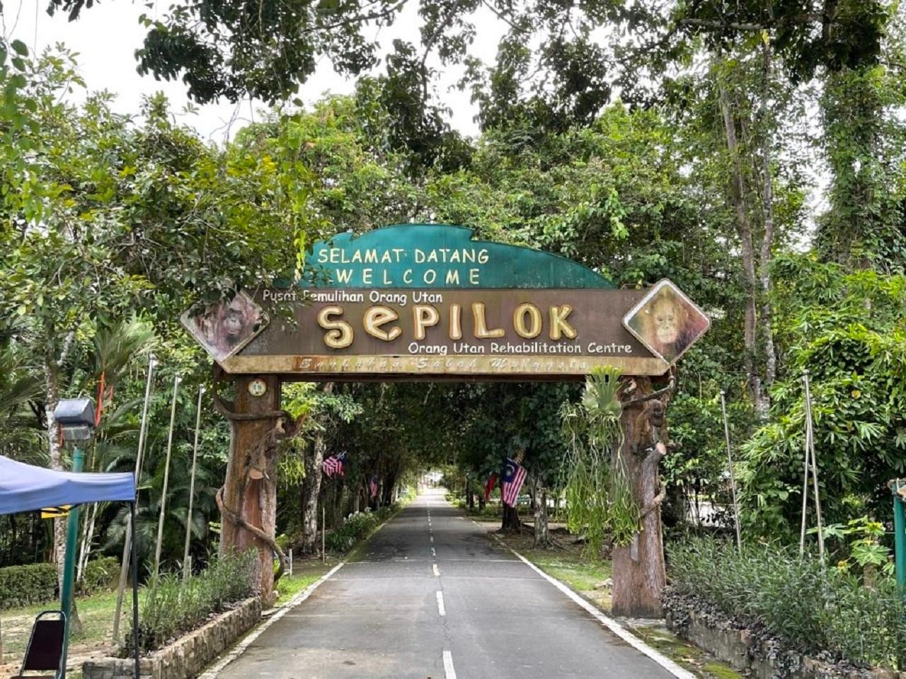 Sepilok Orangutan, Sun Bear & Labuk Bay Full-Day Trip 3