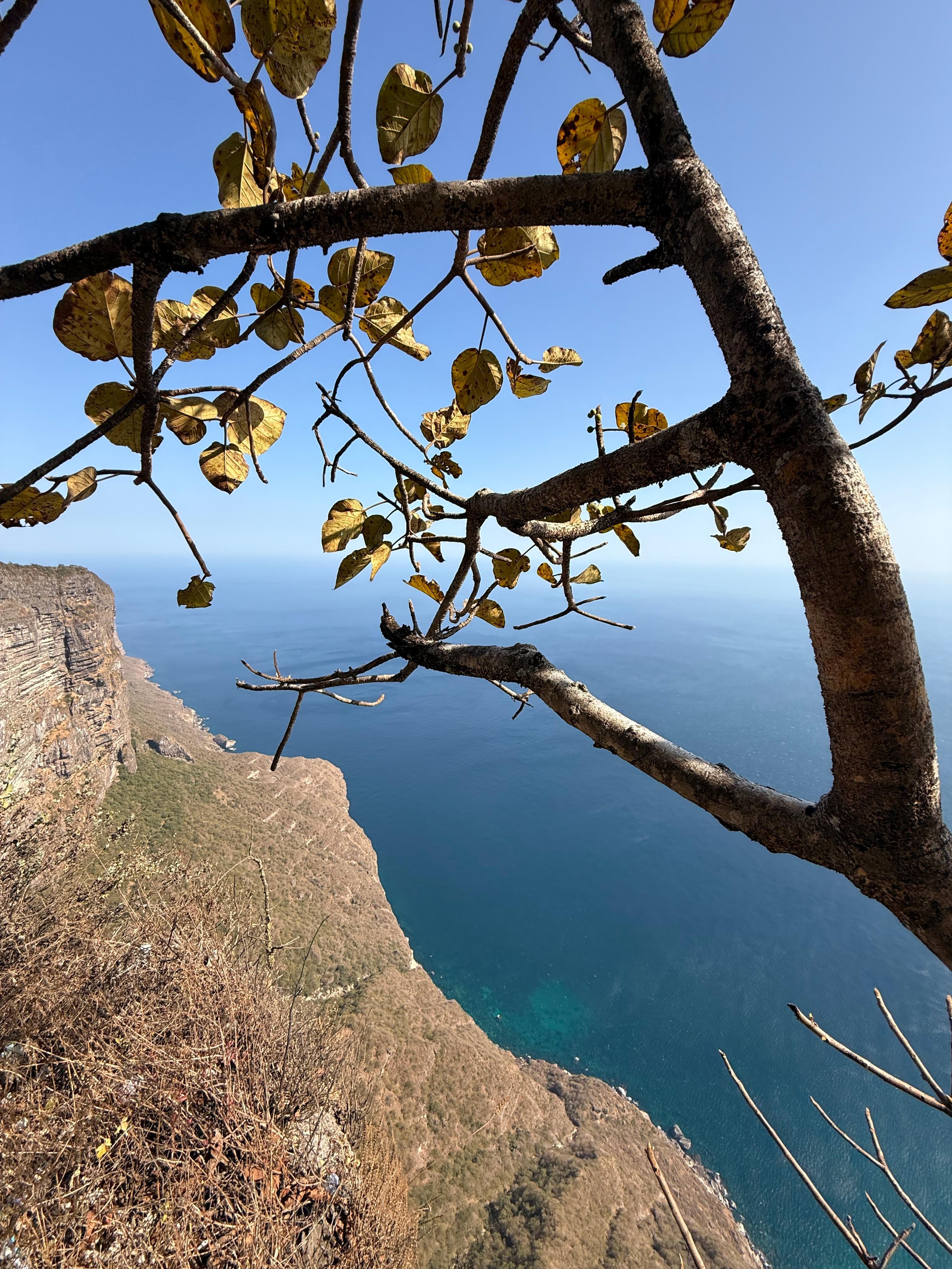 Salalah: Scenic West Coast Cliffs & Shaat Viewpoint