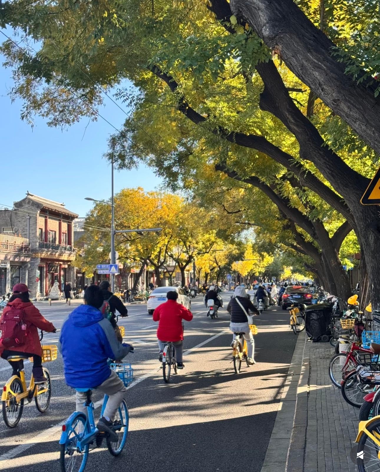 Beijing: Forbidden City Bike Tour with Jingshan Park Entry 3