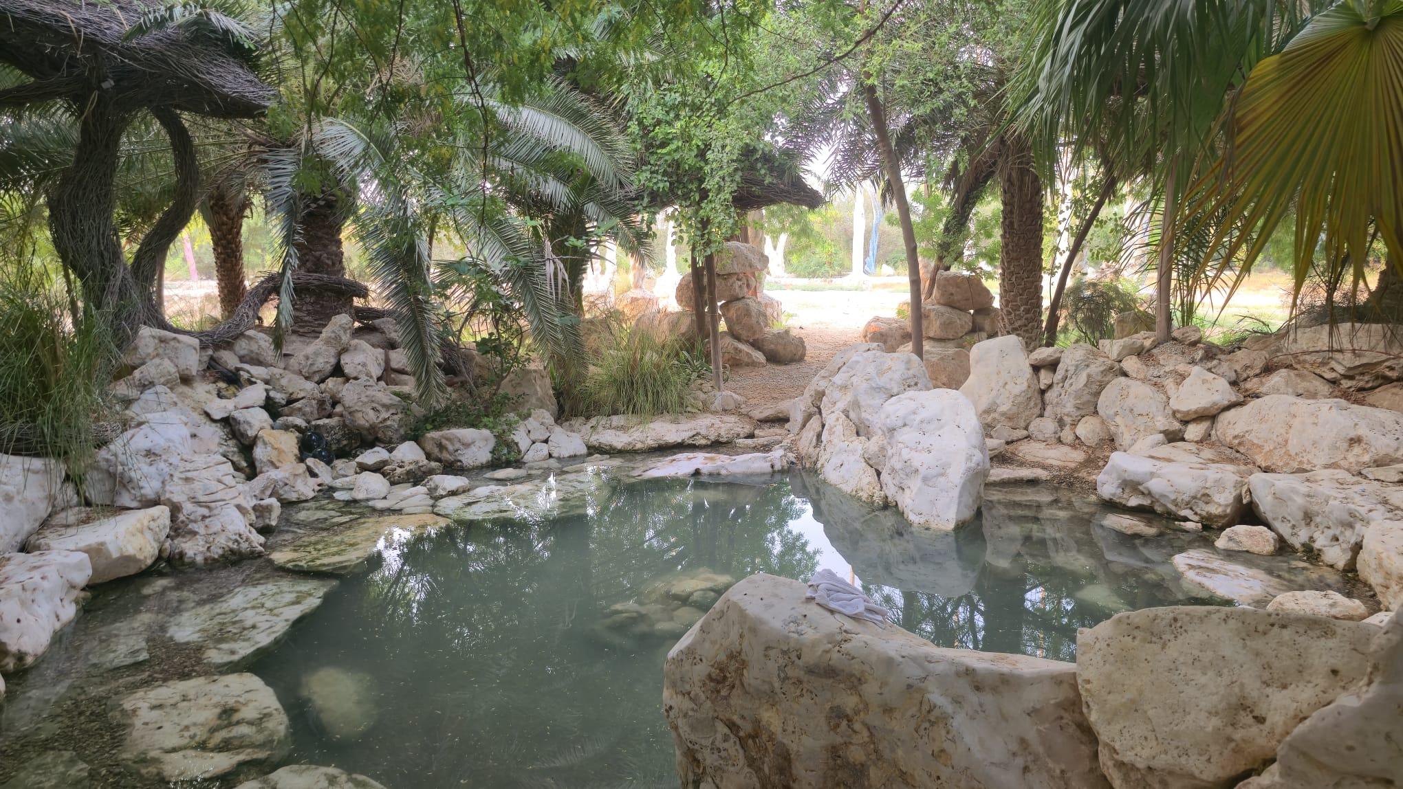 Doha: Torba Farm Guided Tour with Transfers 3