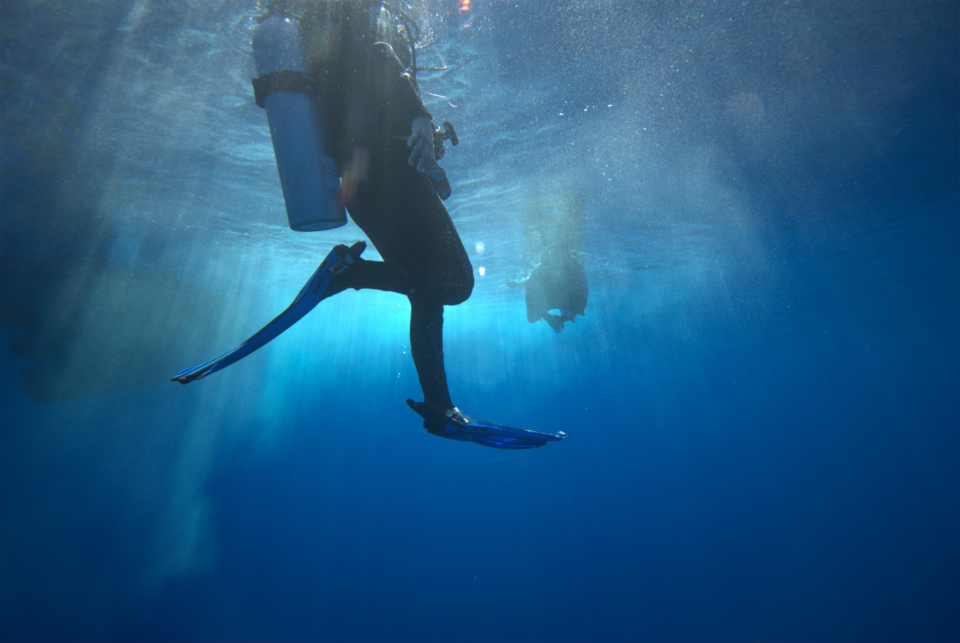 Maldives: Night Dive with Equipment and Guide