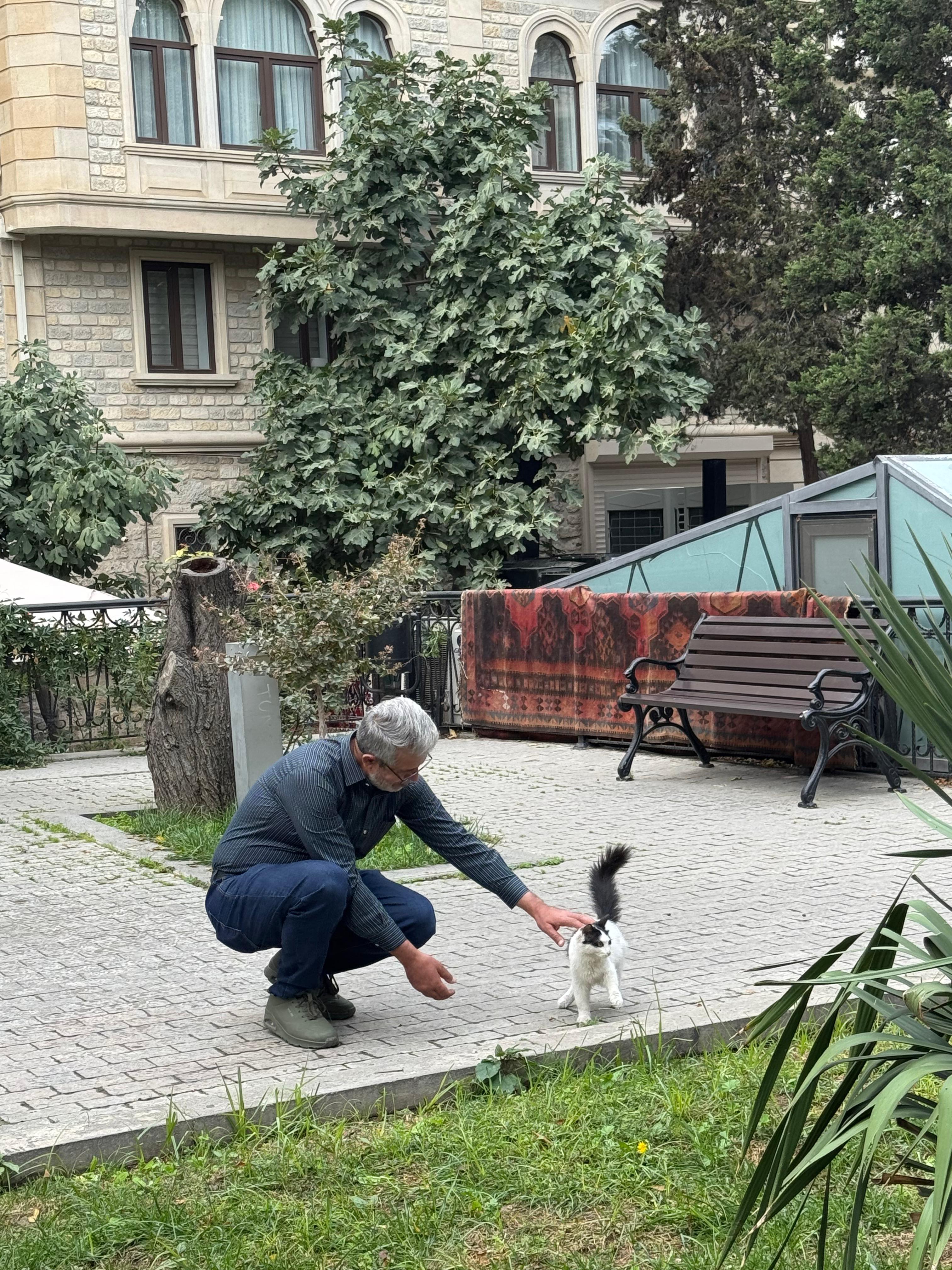 Baku: Old City Walking Tour incl. Azerbaijan Tea and Baklava 2