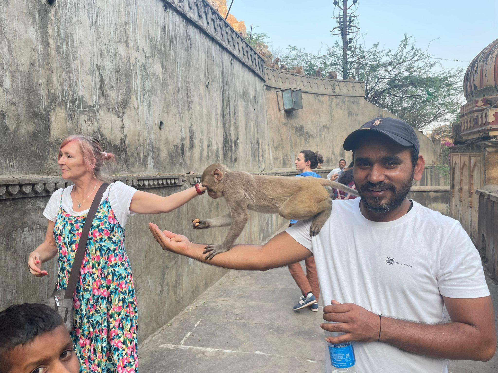 Same Day Abhaneri Trip with Monkey Temple From Jaipur