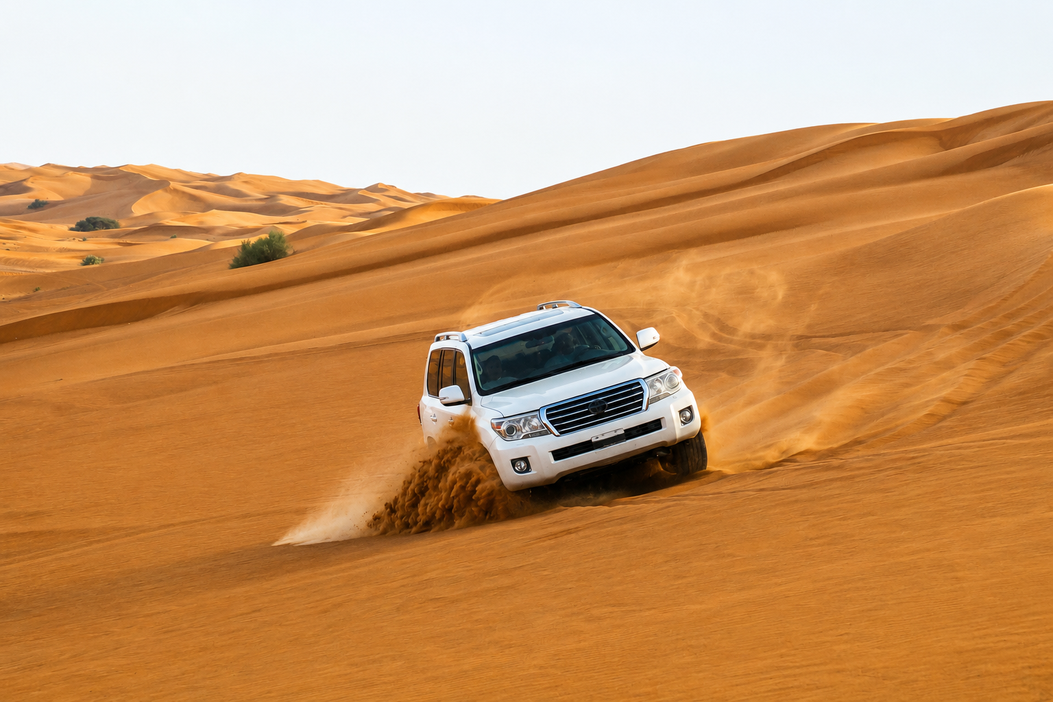 Doha: Sunrise Inland Sea Safari with Dune Bashing & Swim 3