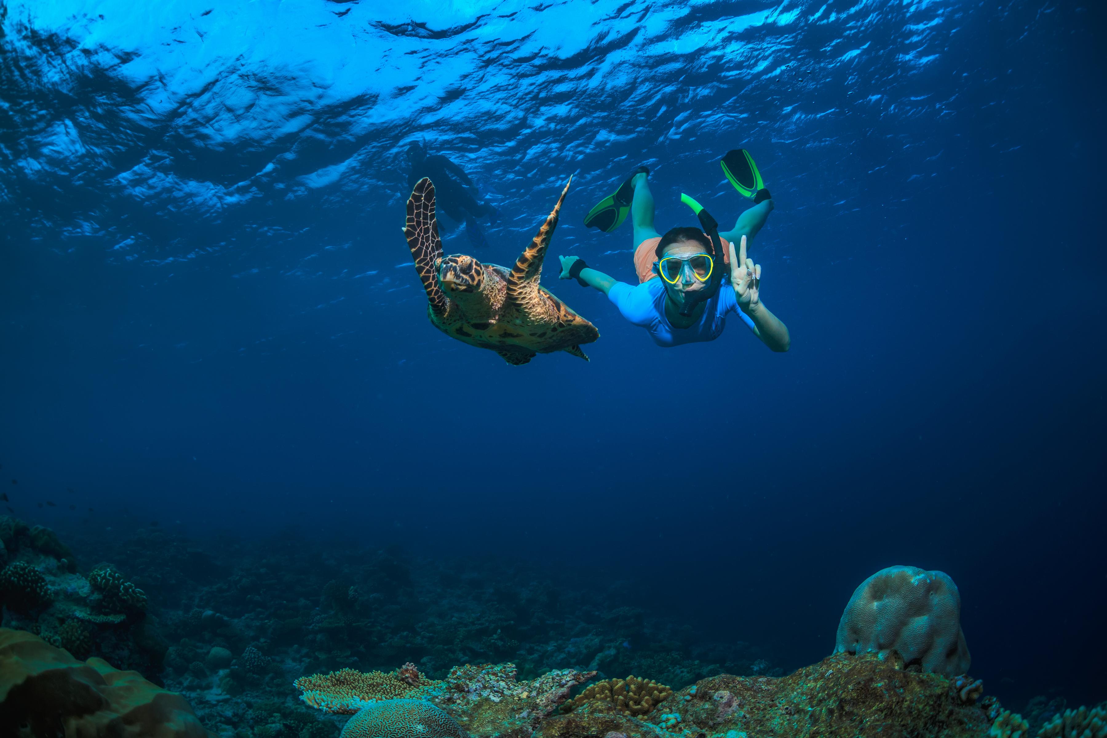 Oman's Daymaniyat Turtles + Village & Home Lunch Experience 2