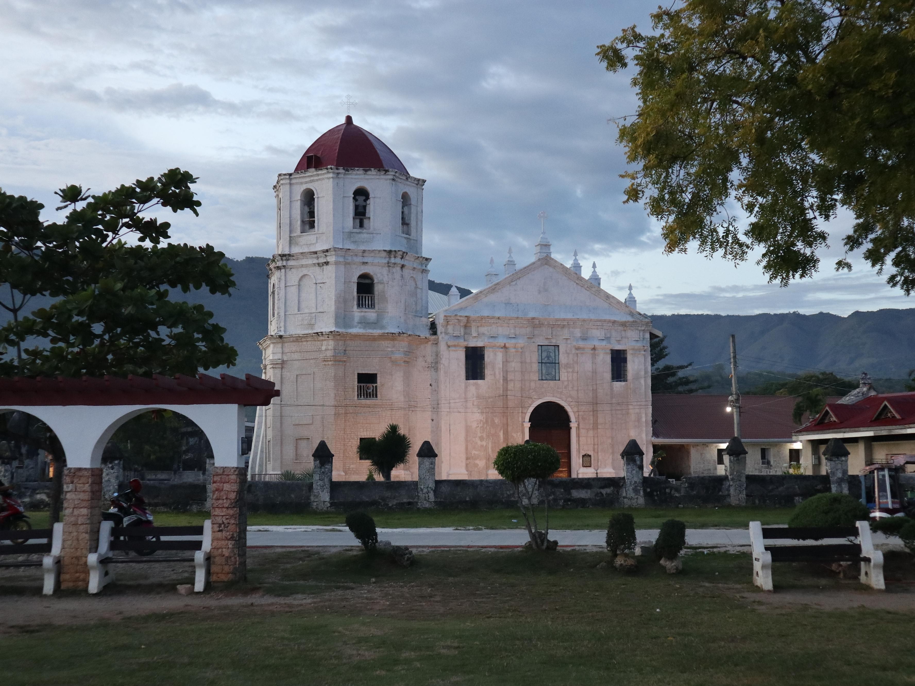 Cebu: Whale Shark Watching & Heritage Tour with Dive Option 2