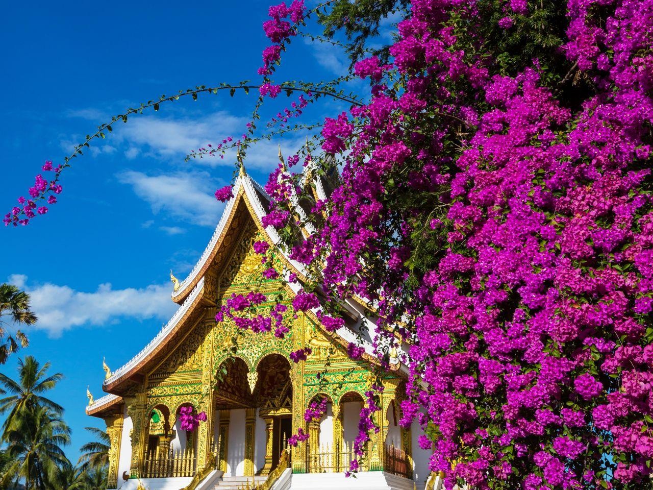 Luang Prabang: Temples, Museum, and Phousi Hill Private Tour