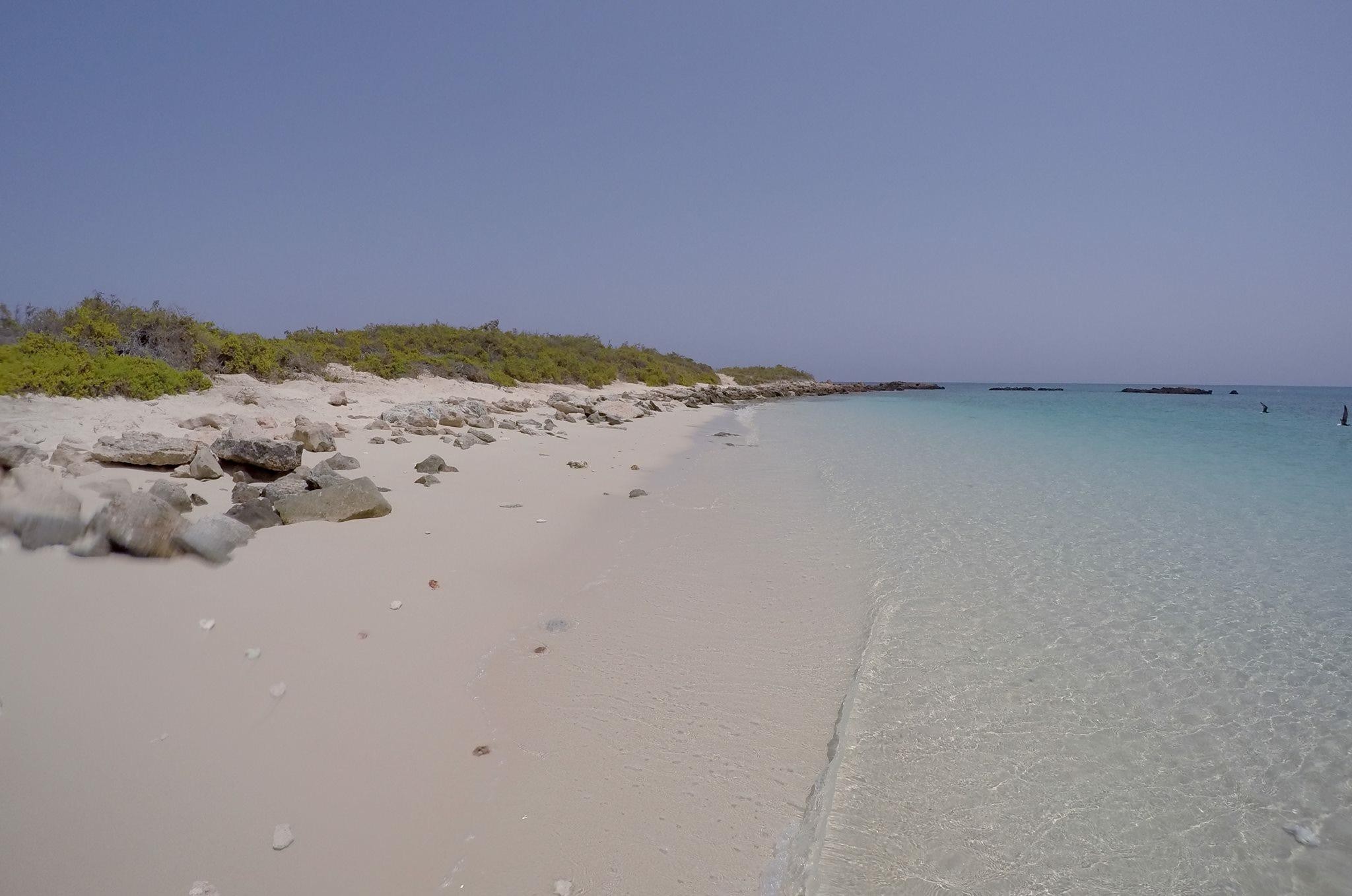 Muscat: Daymaniyat Islands Snorkeling Trip with QTours