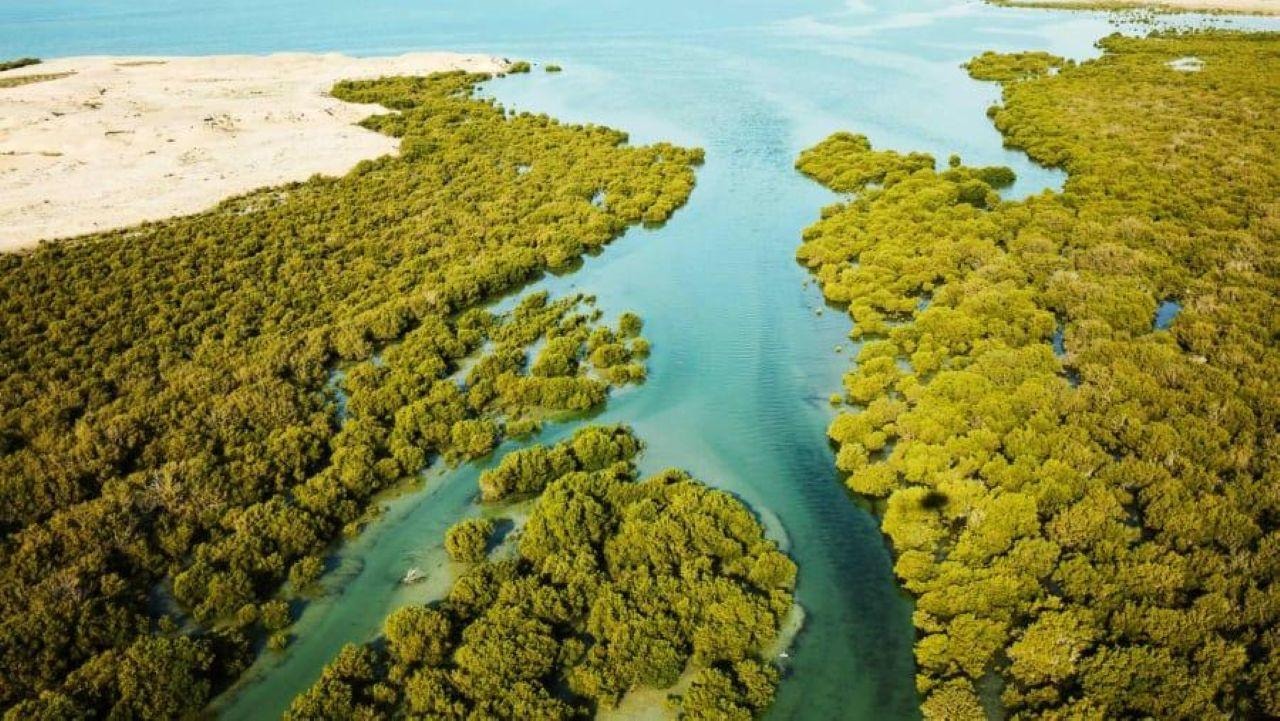 Doha: North Qatar Heritage Tour with Mangroves & UNESCO Fort 3
