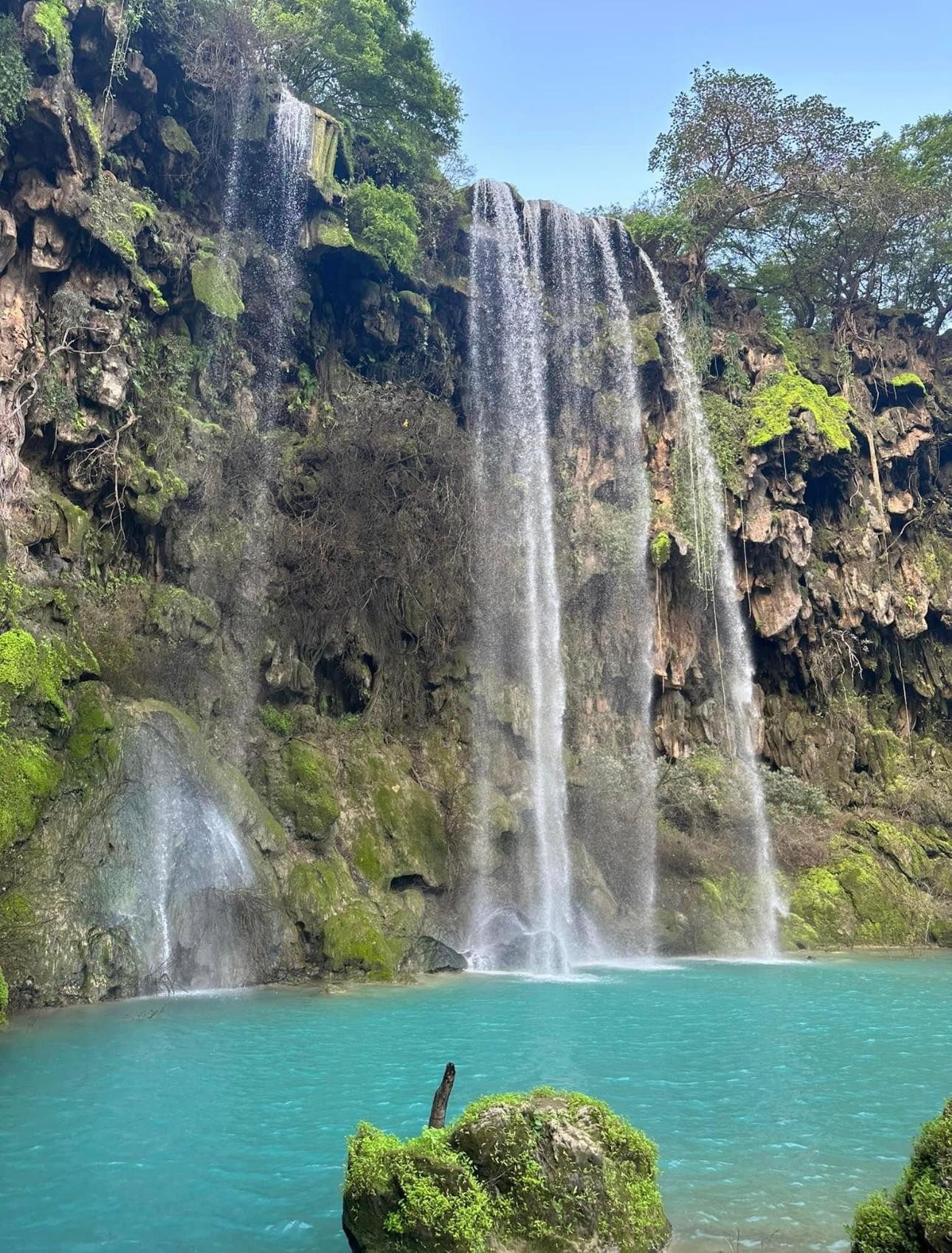 Explore Khareef Salalah: Ain Athum & Wadi Darbat Half-Day — guided tour in Mirbat