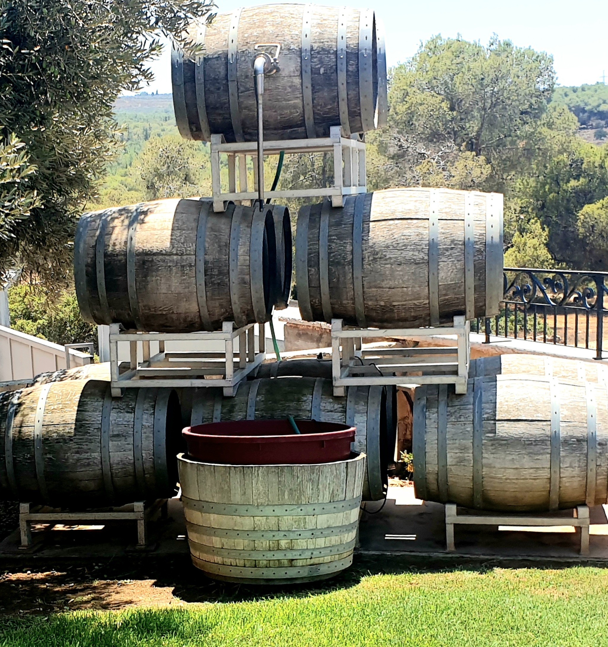 Wineries of Central Israel private tour 2